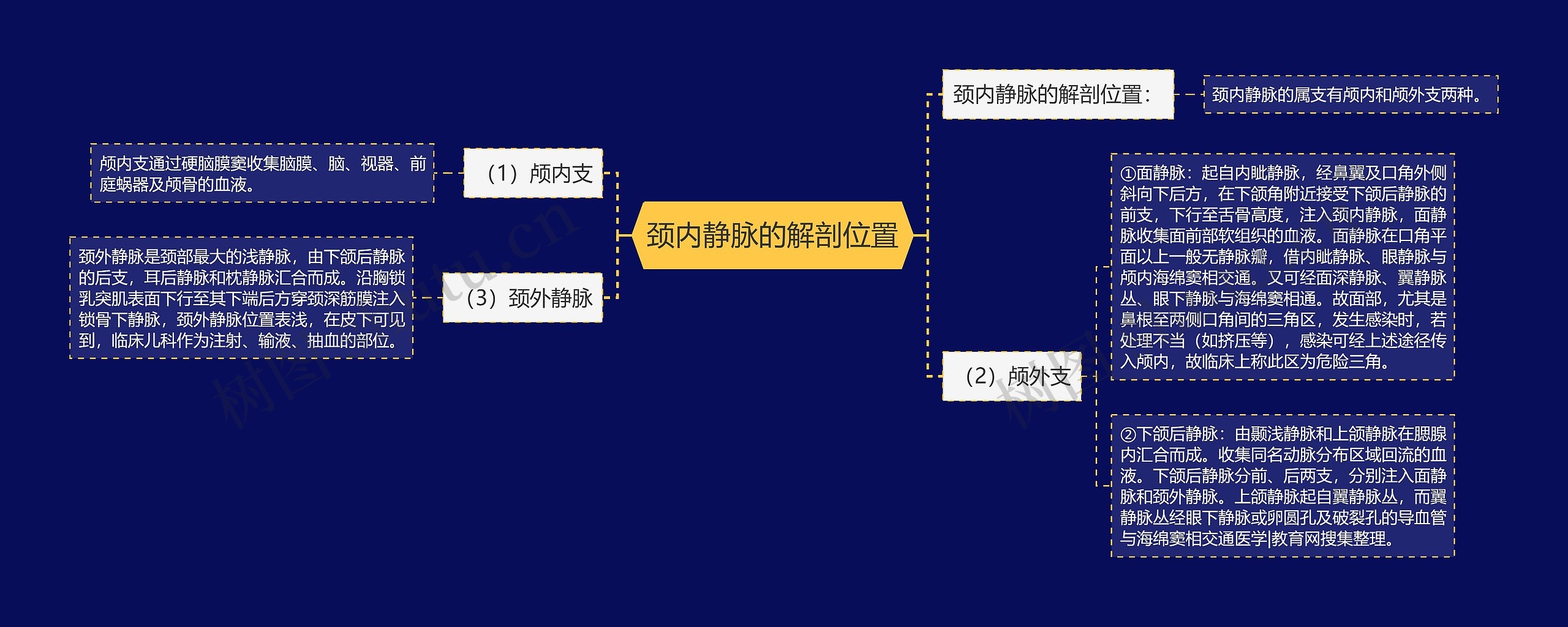 颈内静脉的解剖位置思维导图