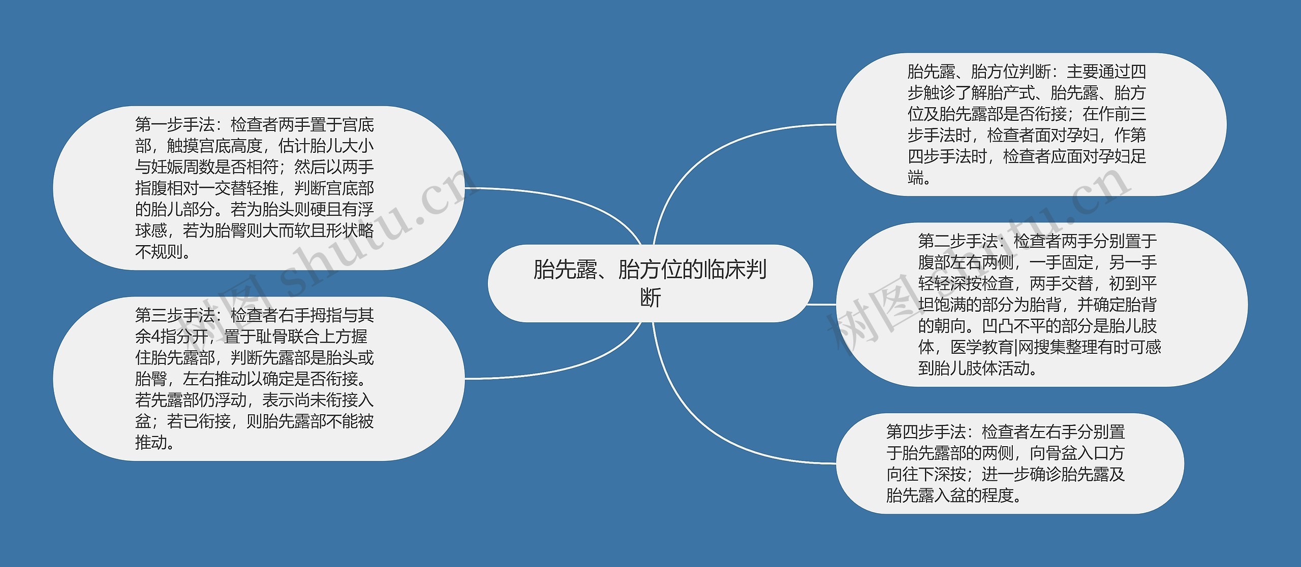 胎先露、胎方位的临床判断思维导图