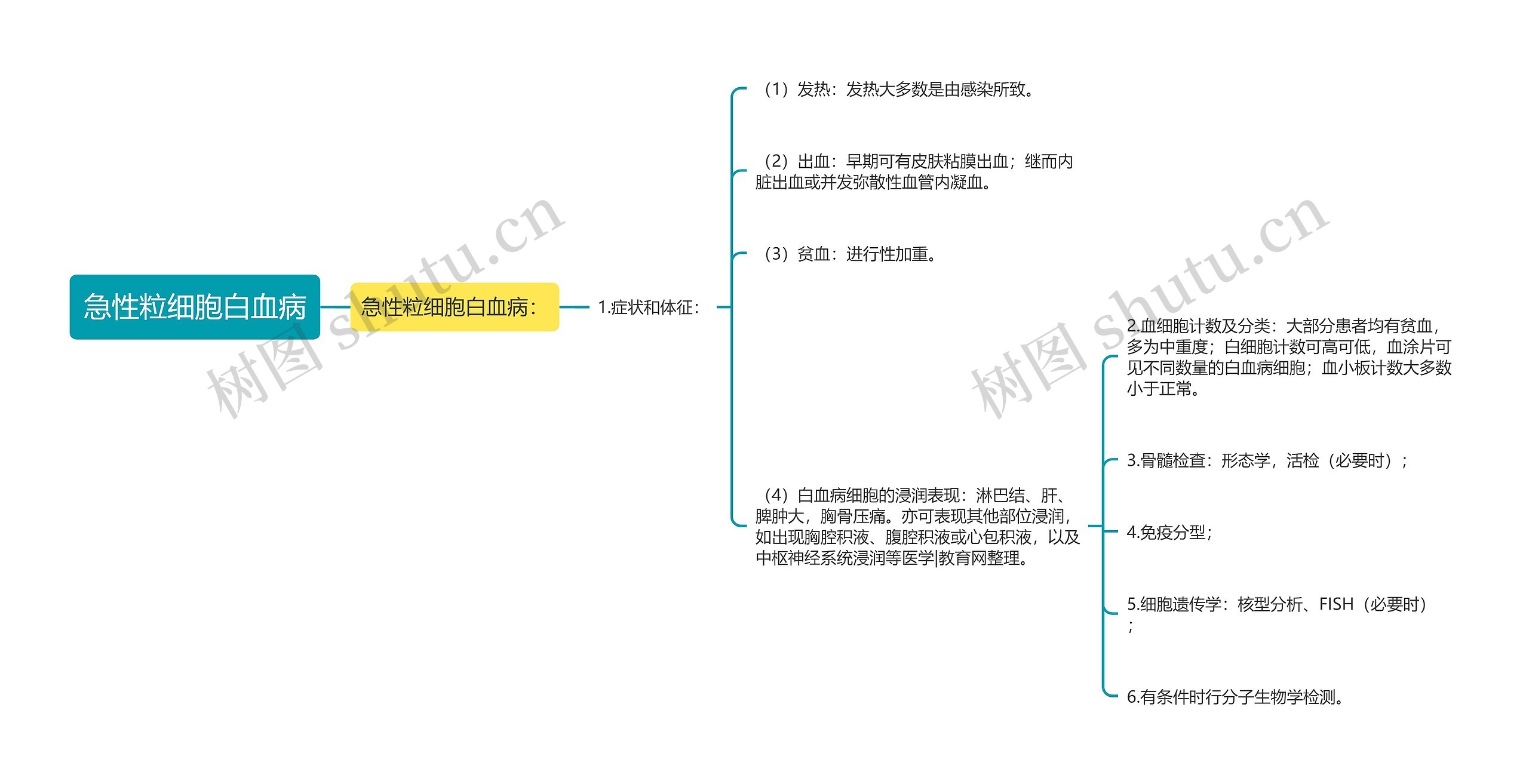 急性粒细胞白血病