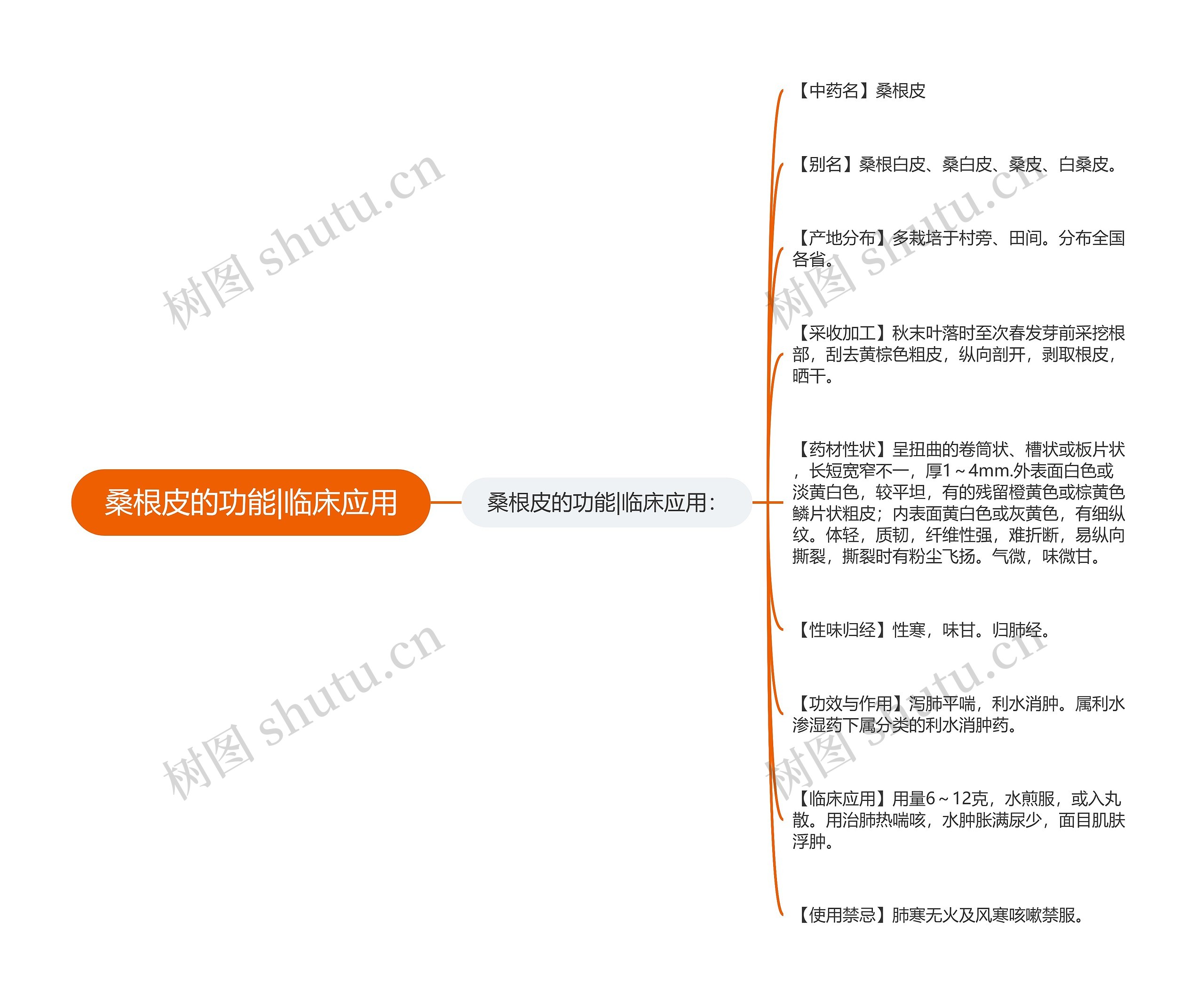 桑根皮的功能|临床应用