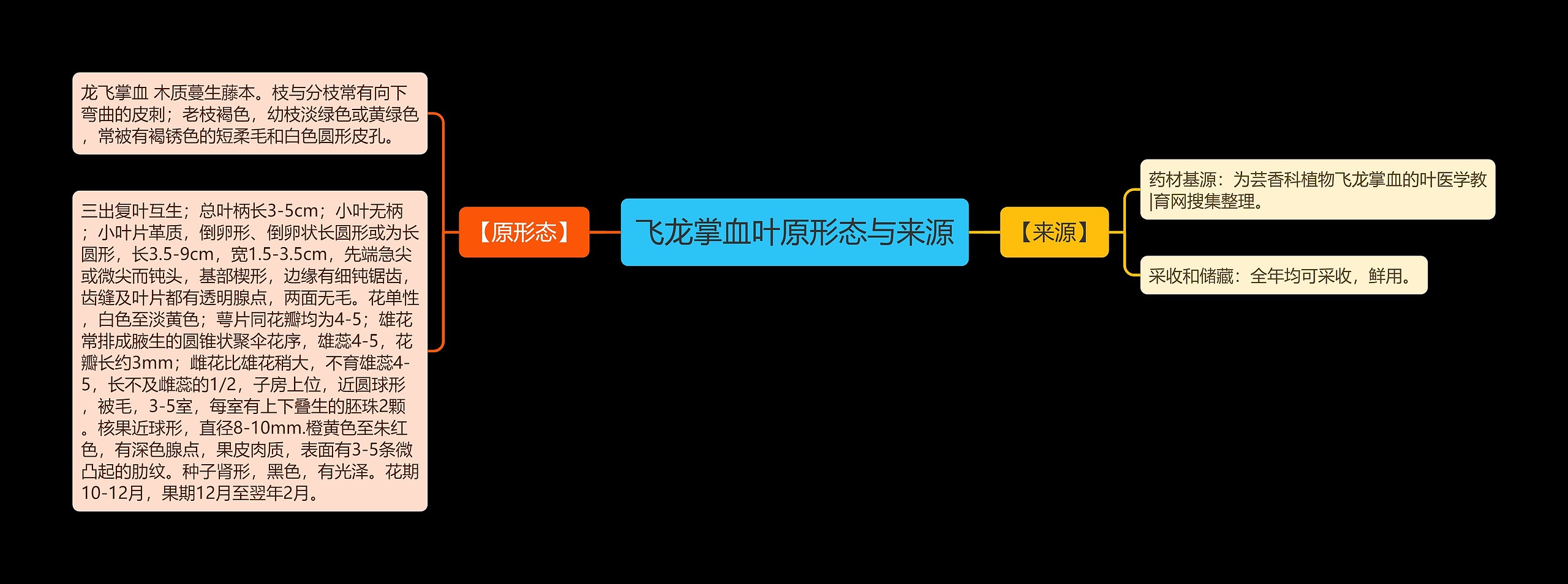 飞龙掌血叶原形态与来源思维导图