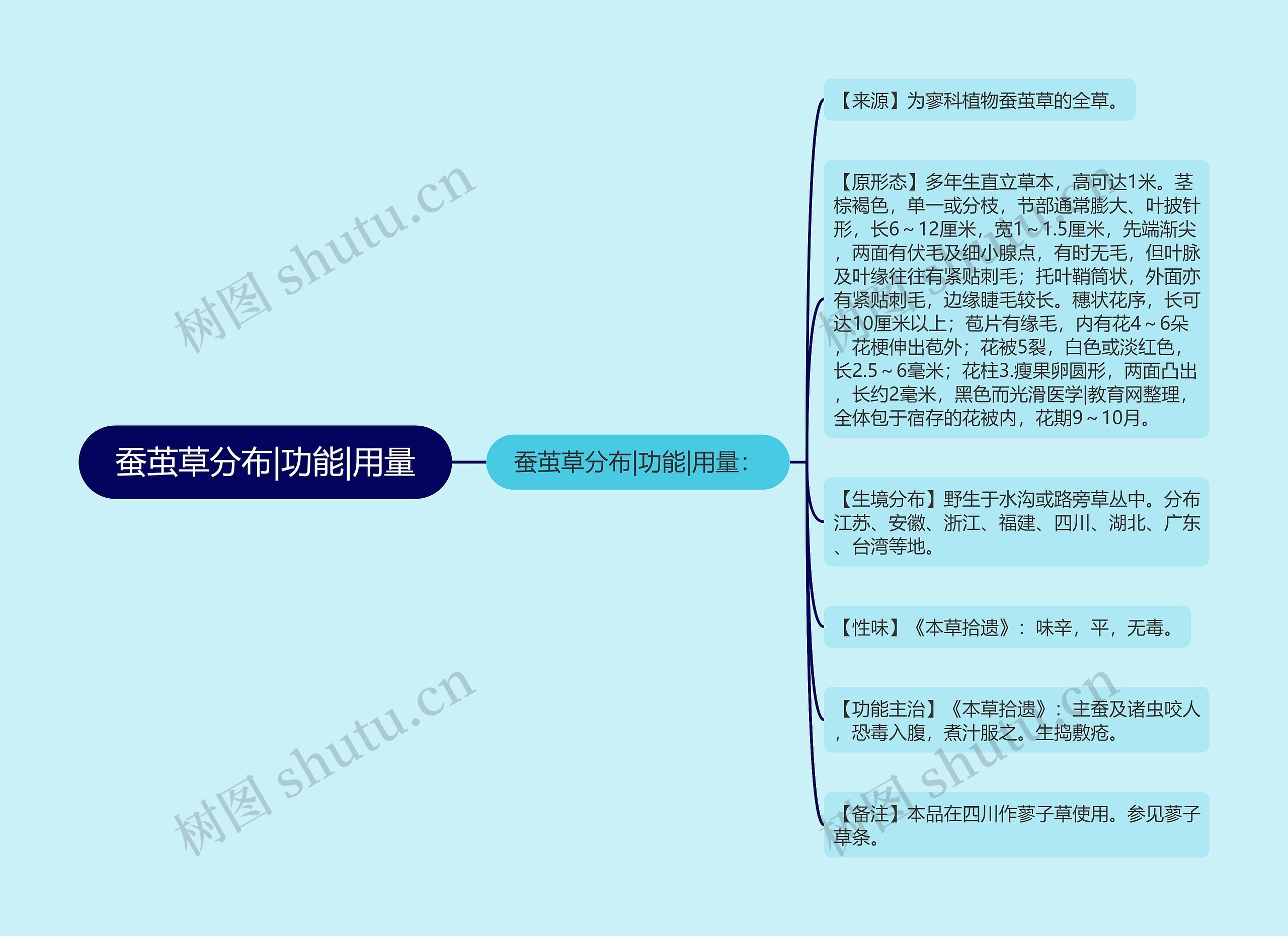 蚕茧草分布|功能|用量思维导图