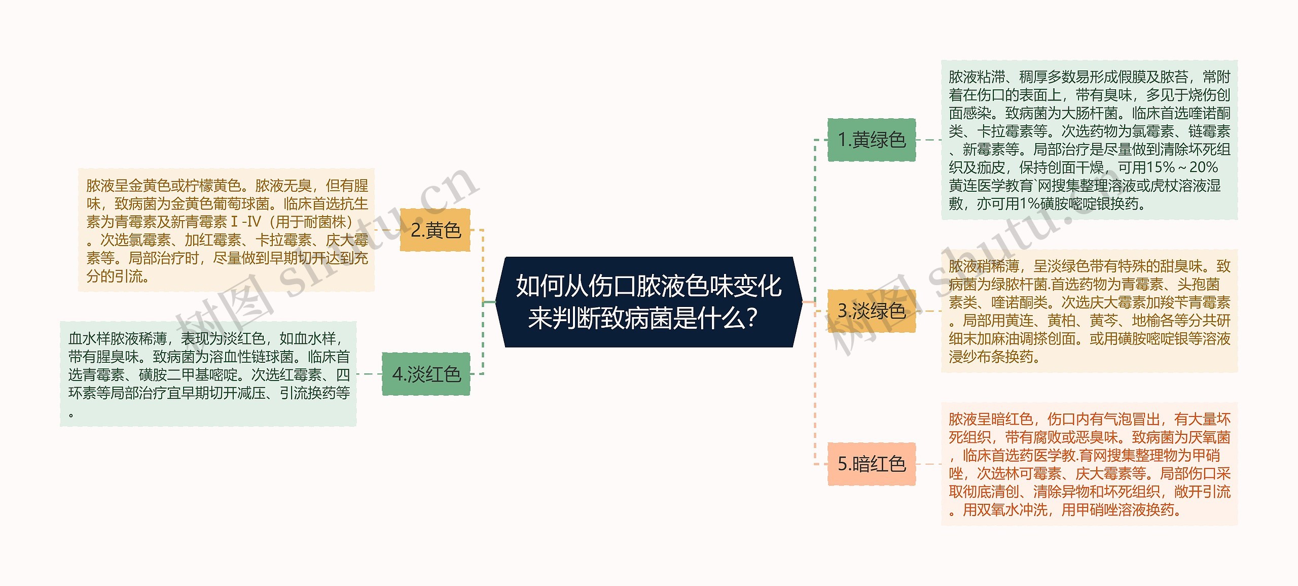 如何从伤口脓液色味变化来判断致病菌是什么？思维导图