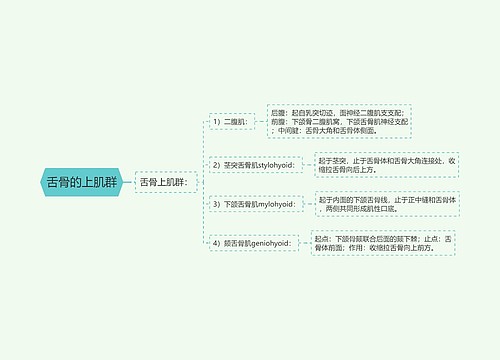 舌骨的上肌群