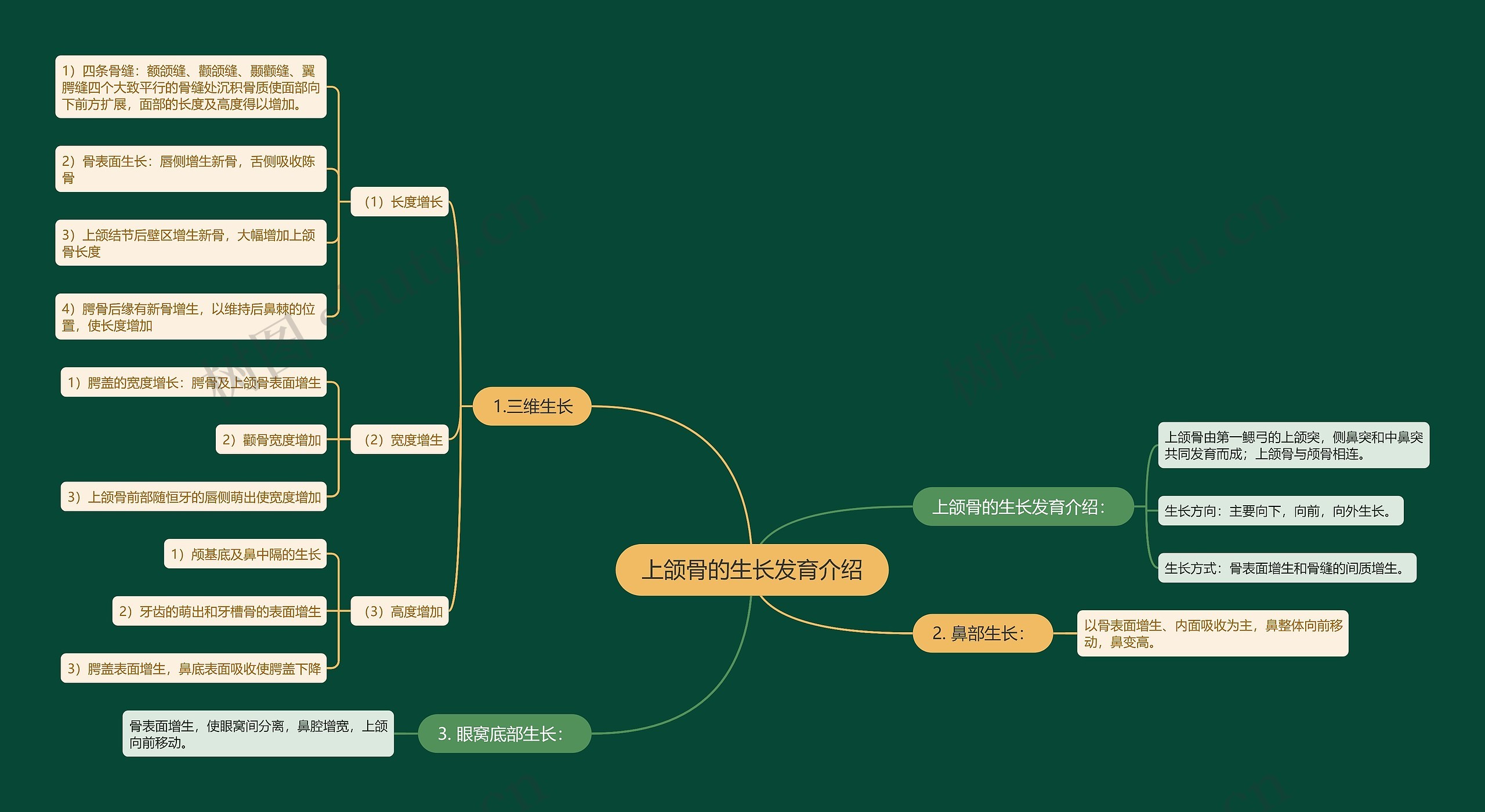 上颌骨的生长发育介绍思维导图