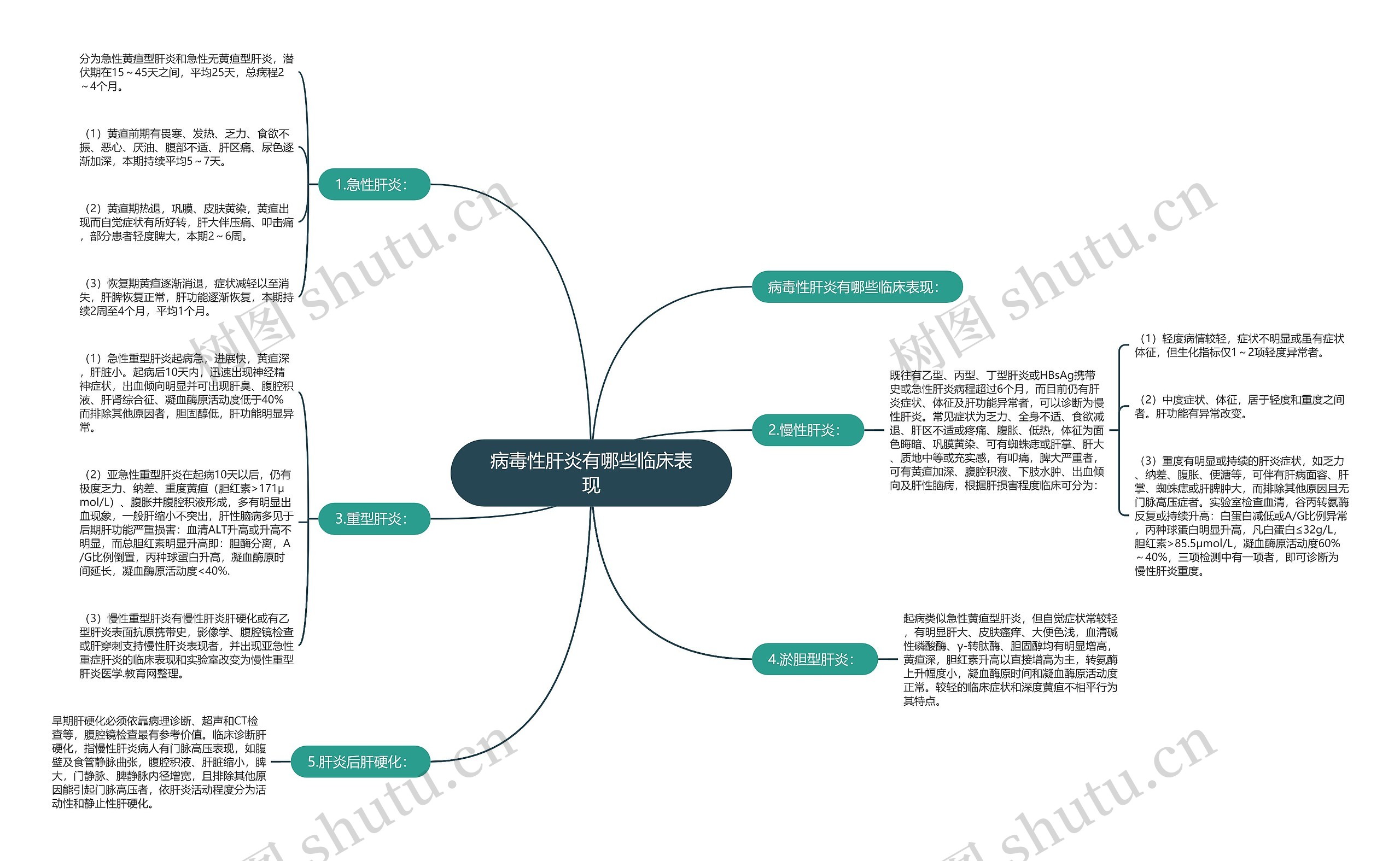 病毒性肝炎有哪些临床表现思维导图