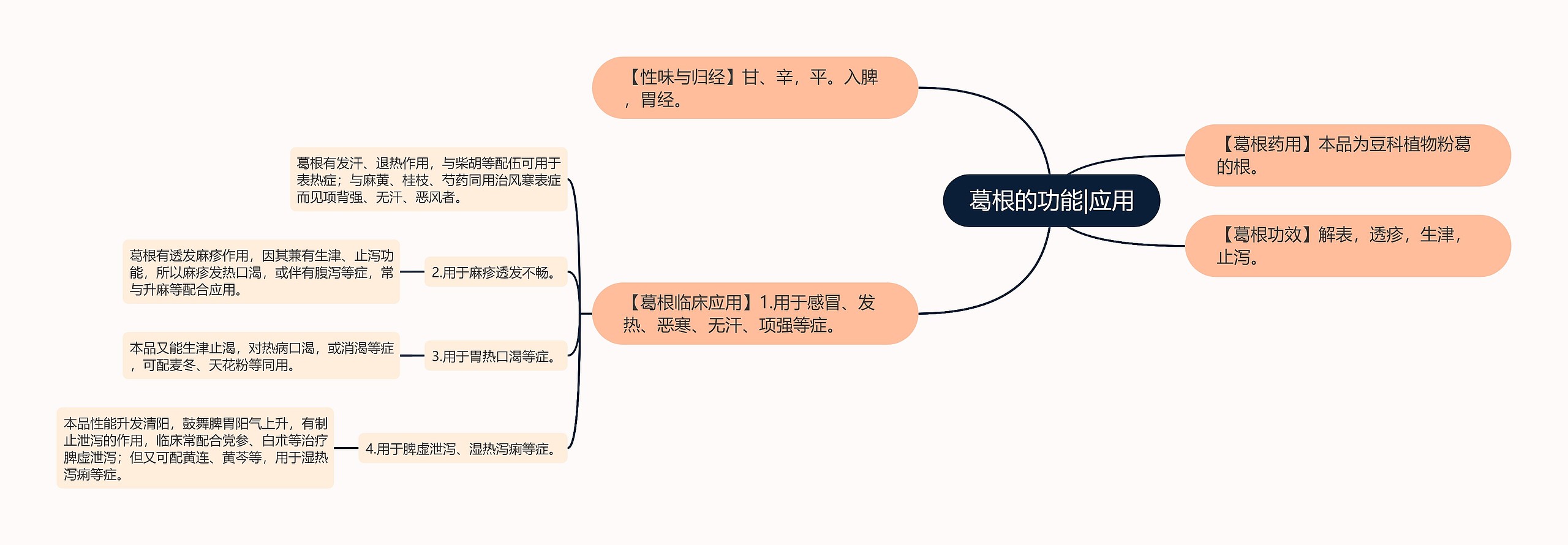 葛根的功能|应用