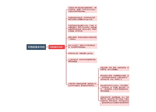 天疱疮基本内容