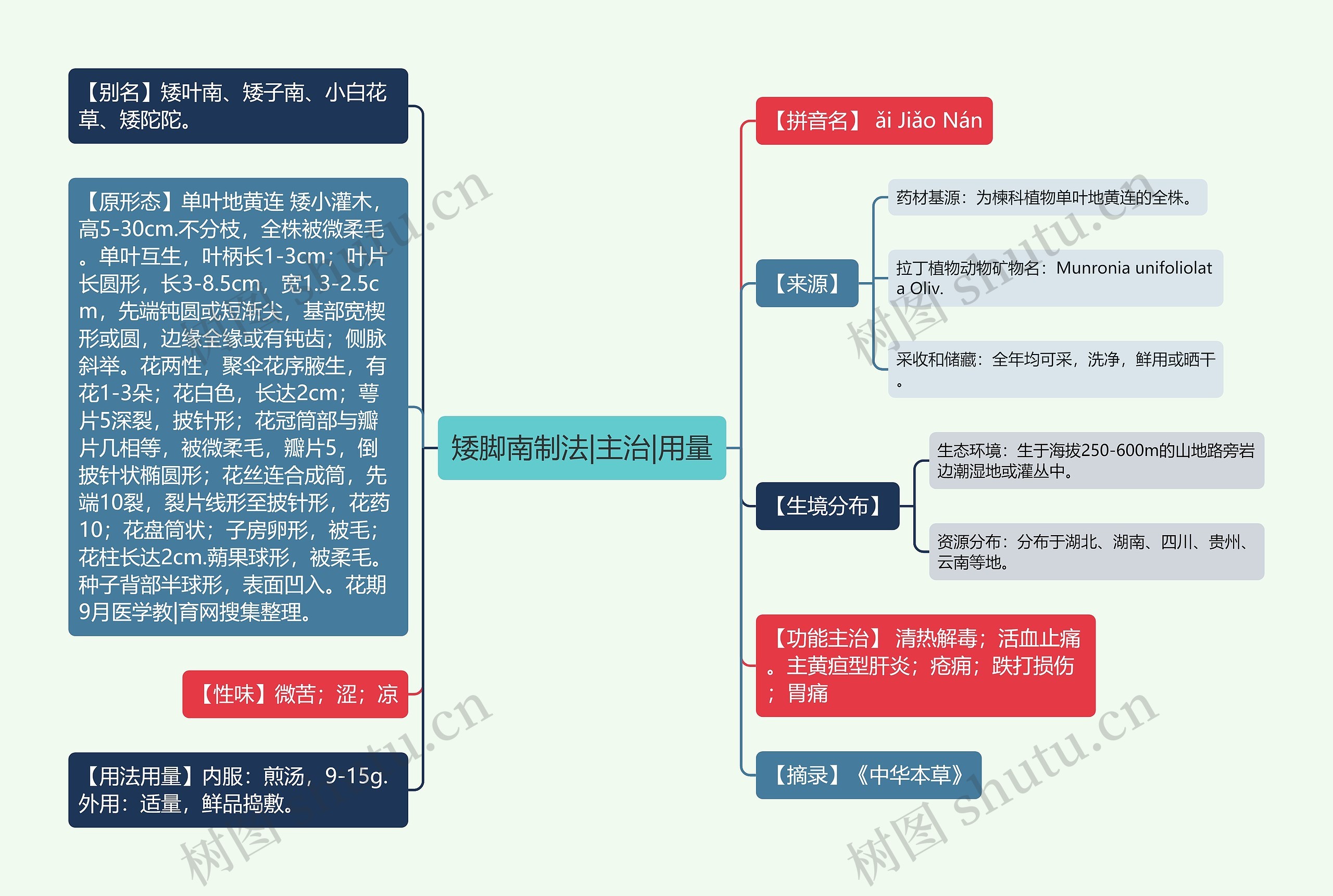 矮脚南制法|主治|用量思维导图