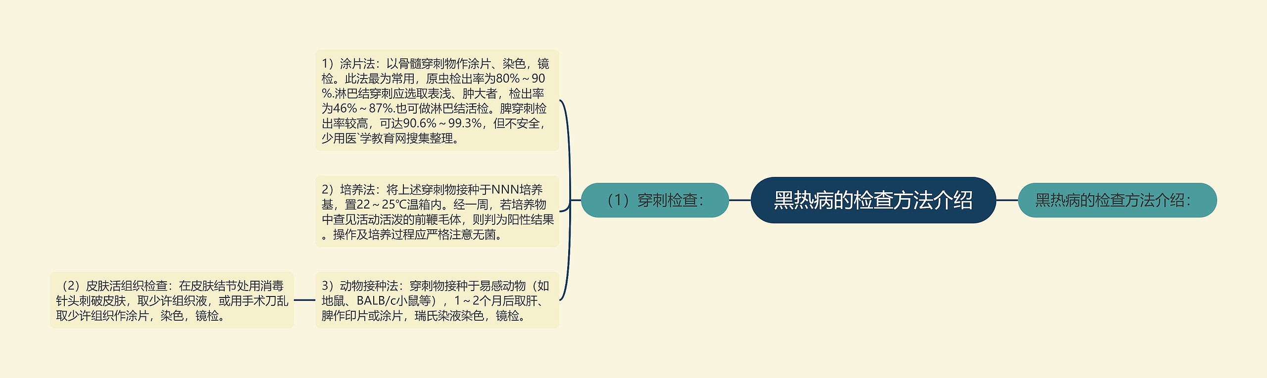 黑热病的检查方法介绍思维导图