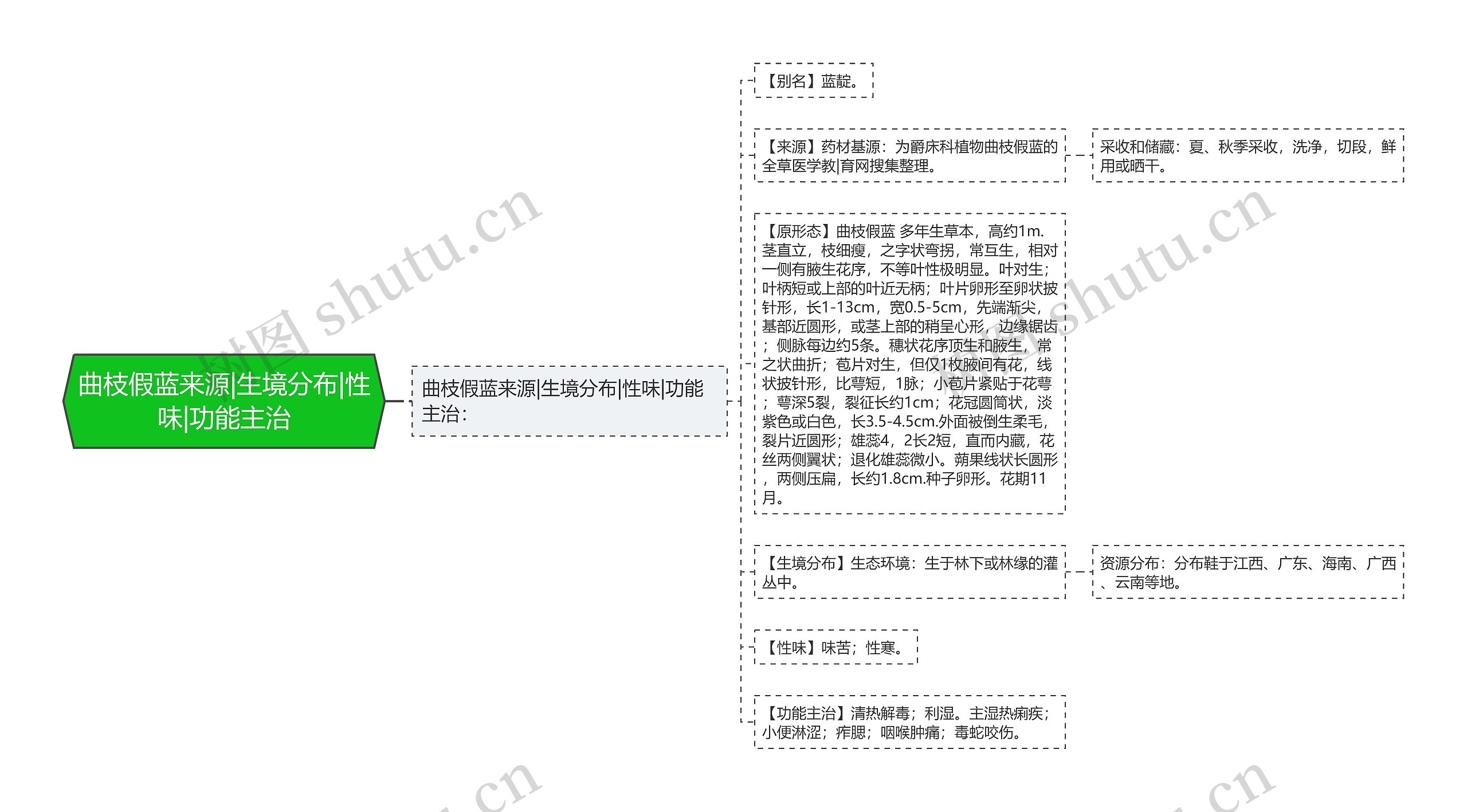 曲枝假蓝来源|生境分布|性味|功能主治思维导图