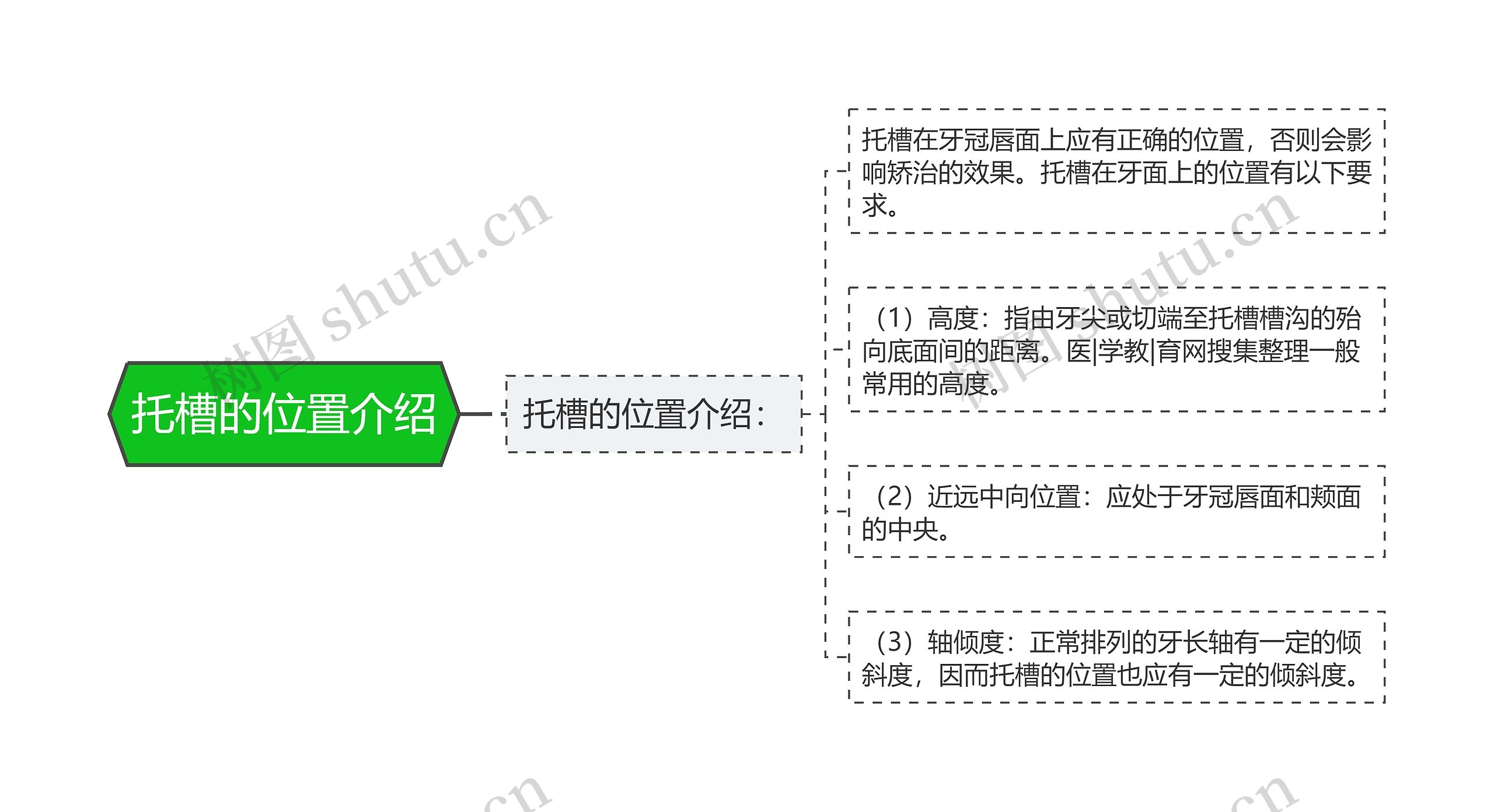 托槽的位置介绍