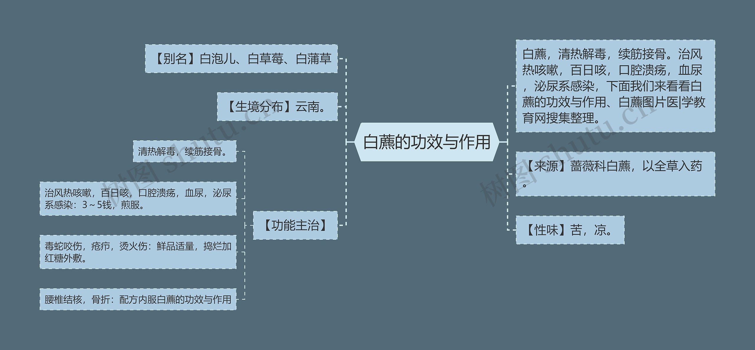 白藨的功效与作用思维导图