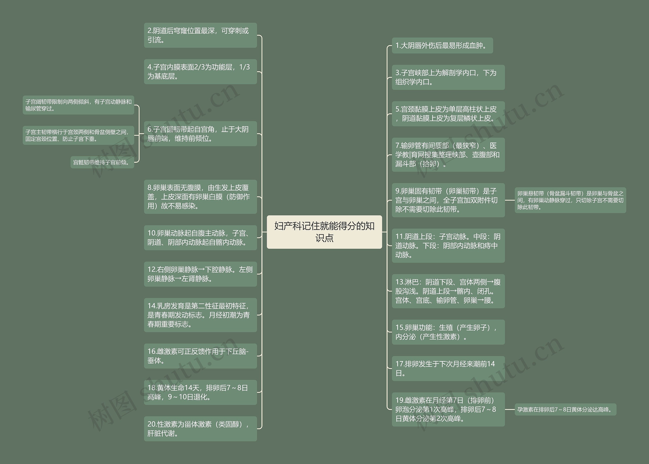 妇产科记住就能得分的知识点思维导图