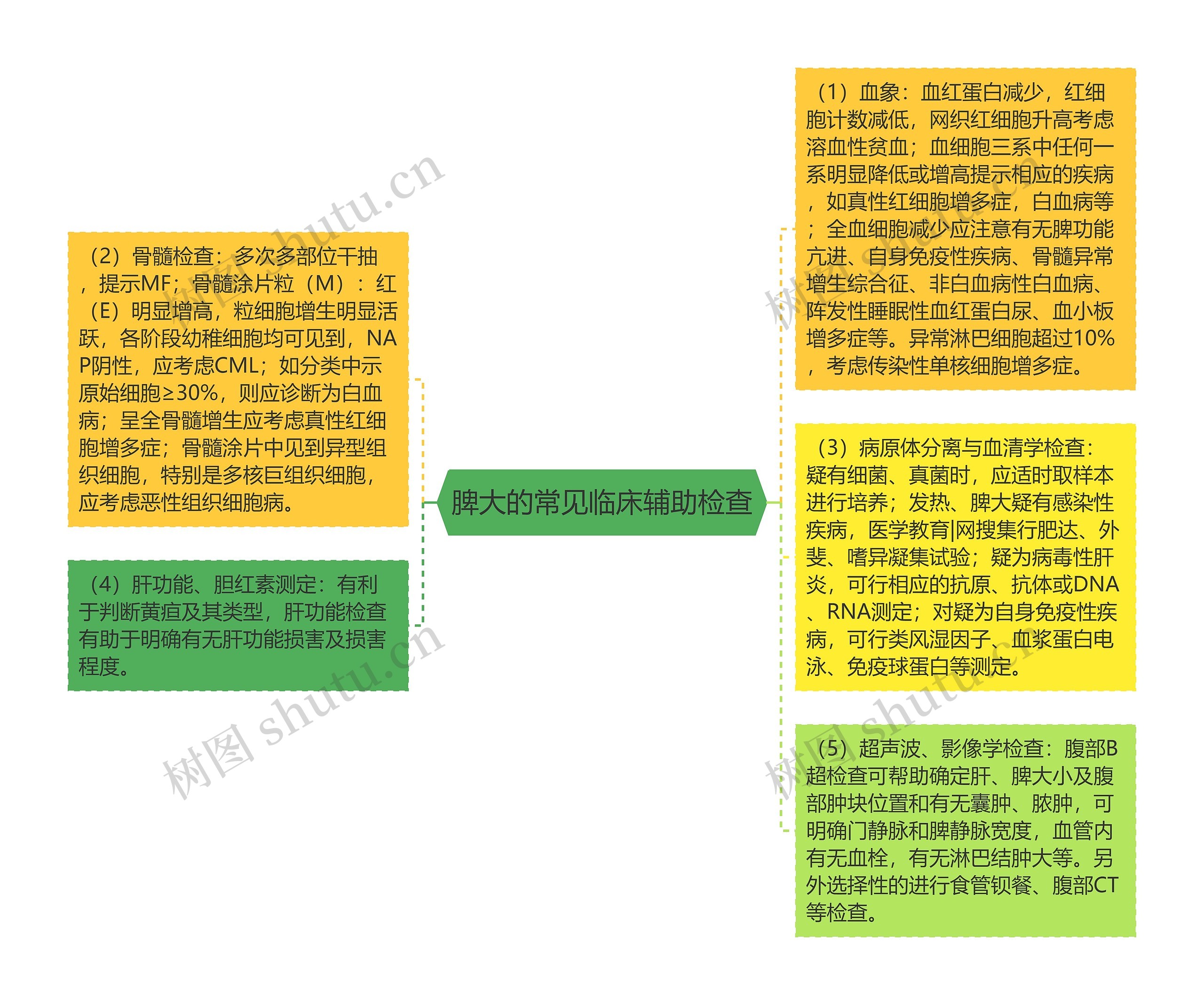 脾大的常见临床辅助检查思维导图