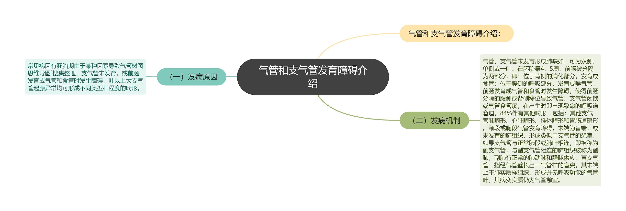 气管和支气管发育障碍介绍思维导图