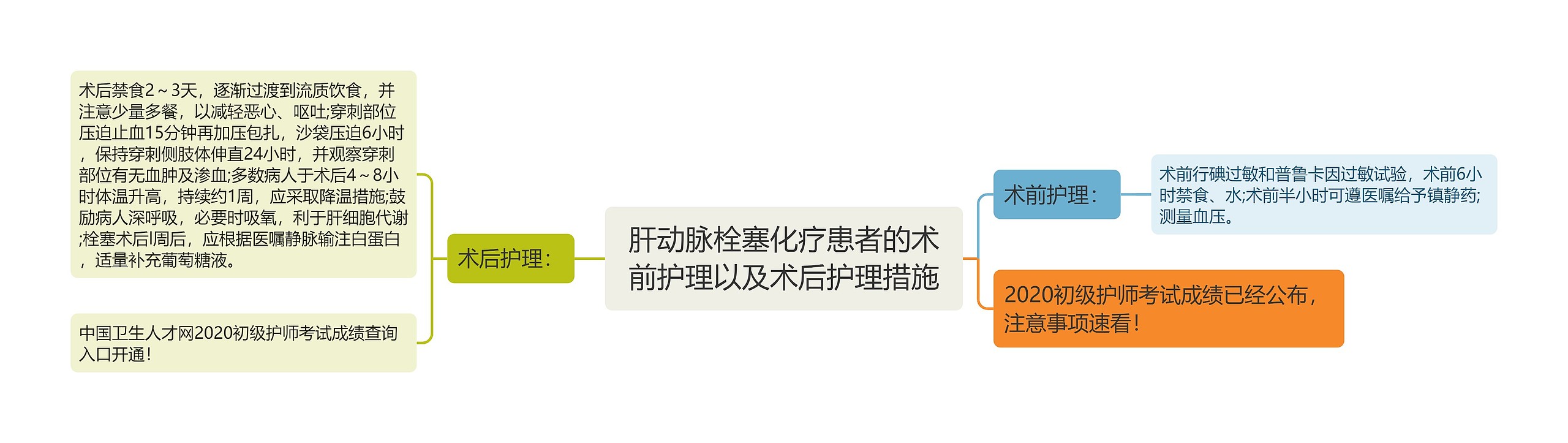 肝动脉栓塞化疗患者的术前护理以及术后护理措施思维导图