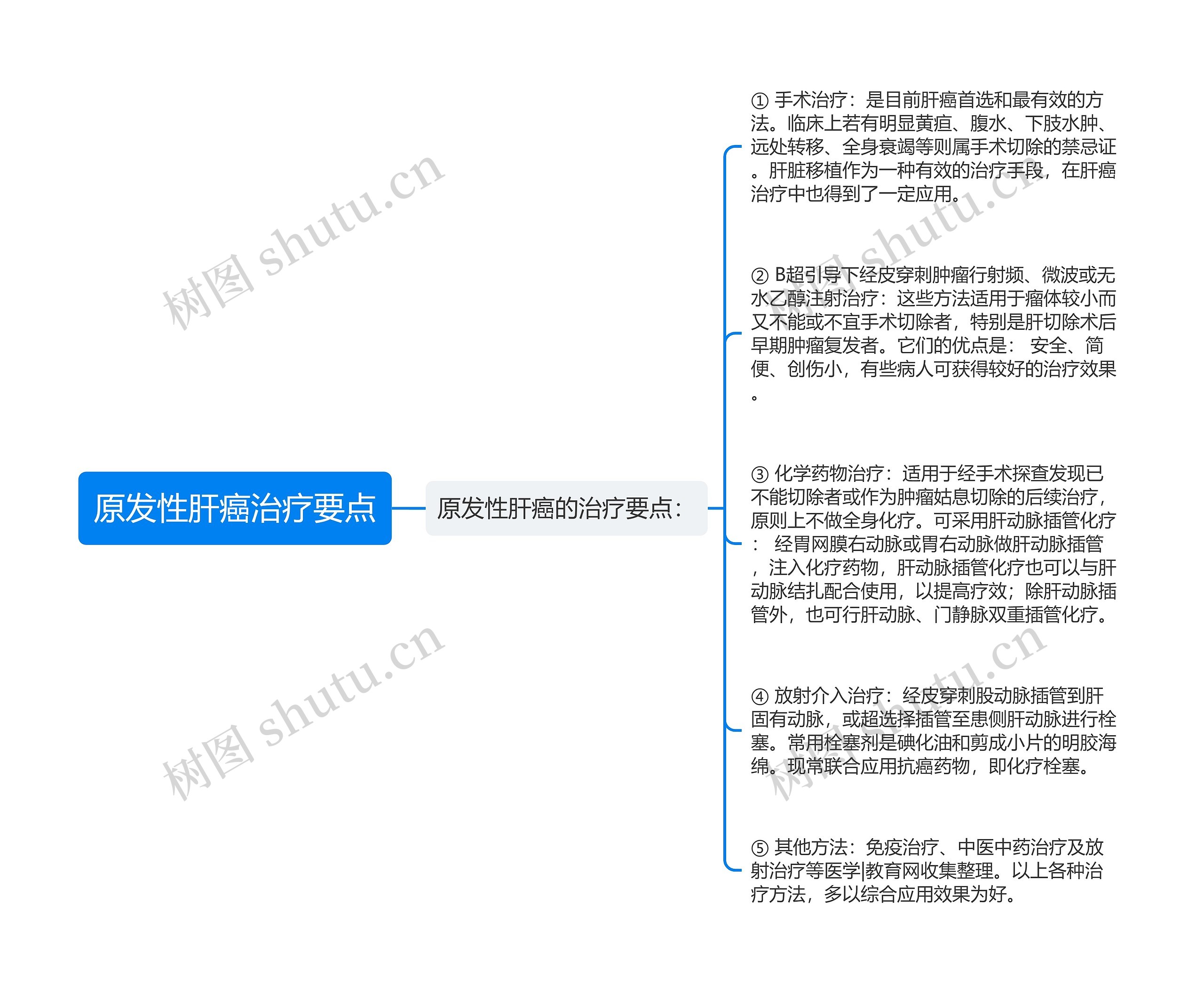 原发性肝癌治疗要点思维导图