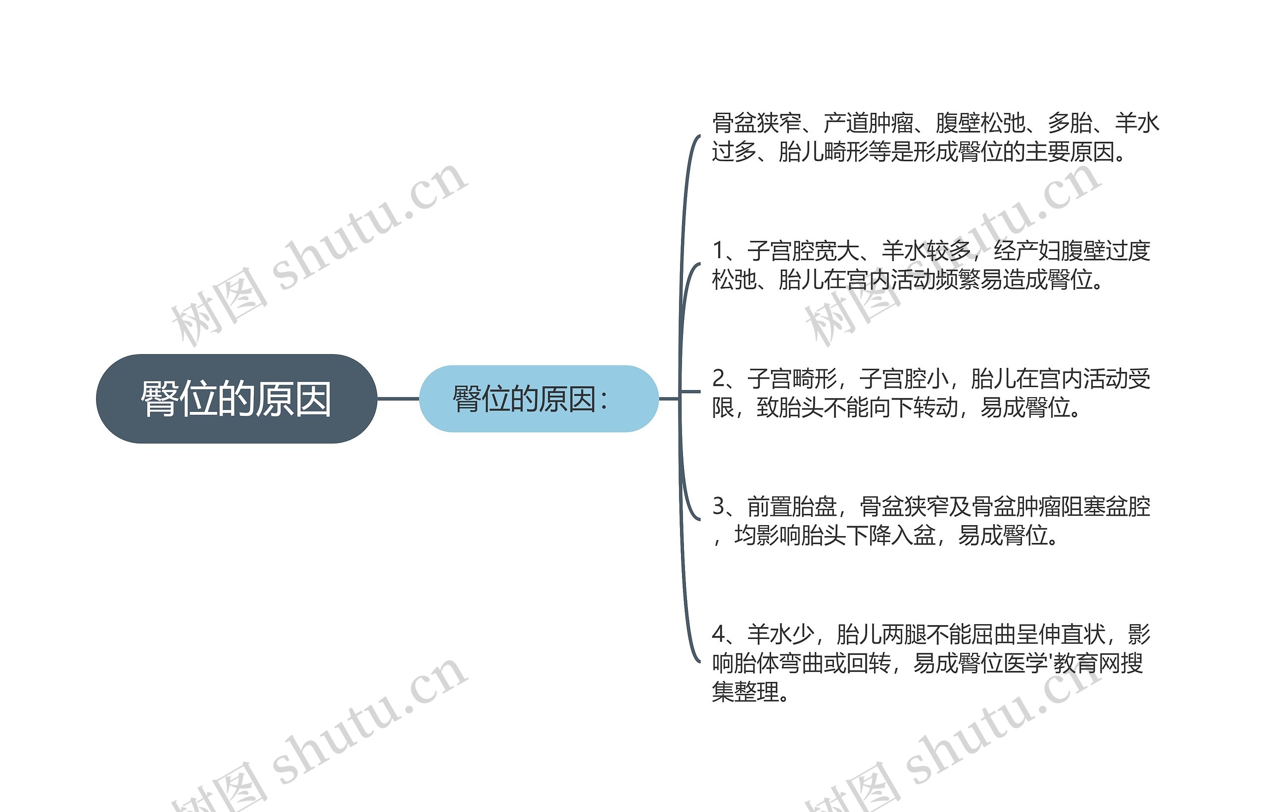 臀位的原因