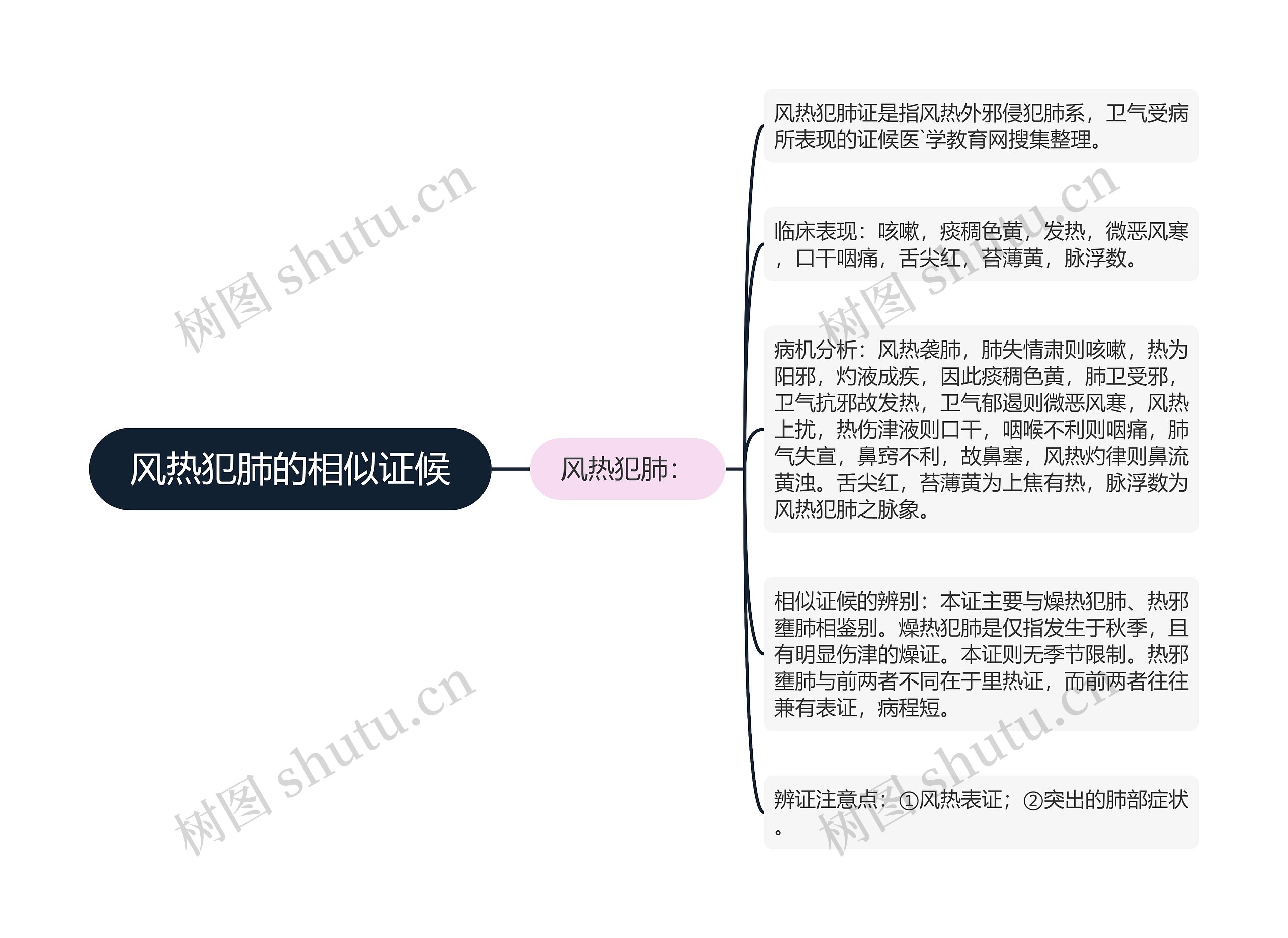 风热犯肺的相似证候思维导图