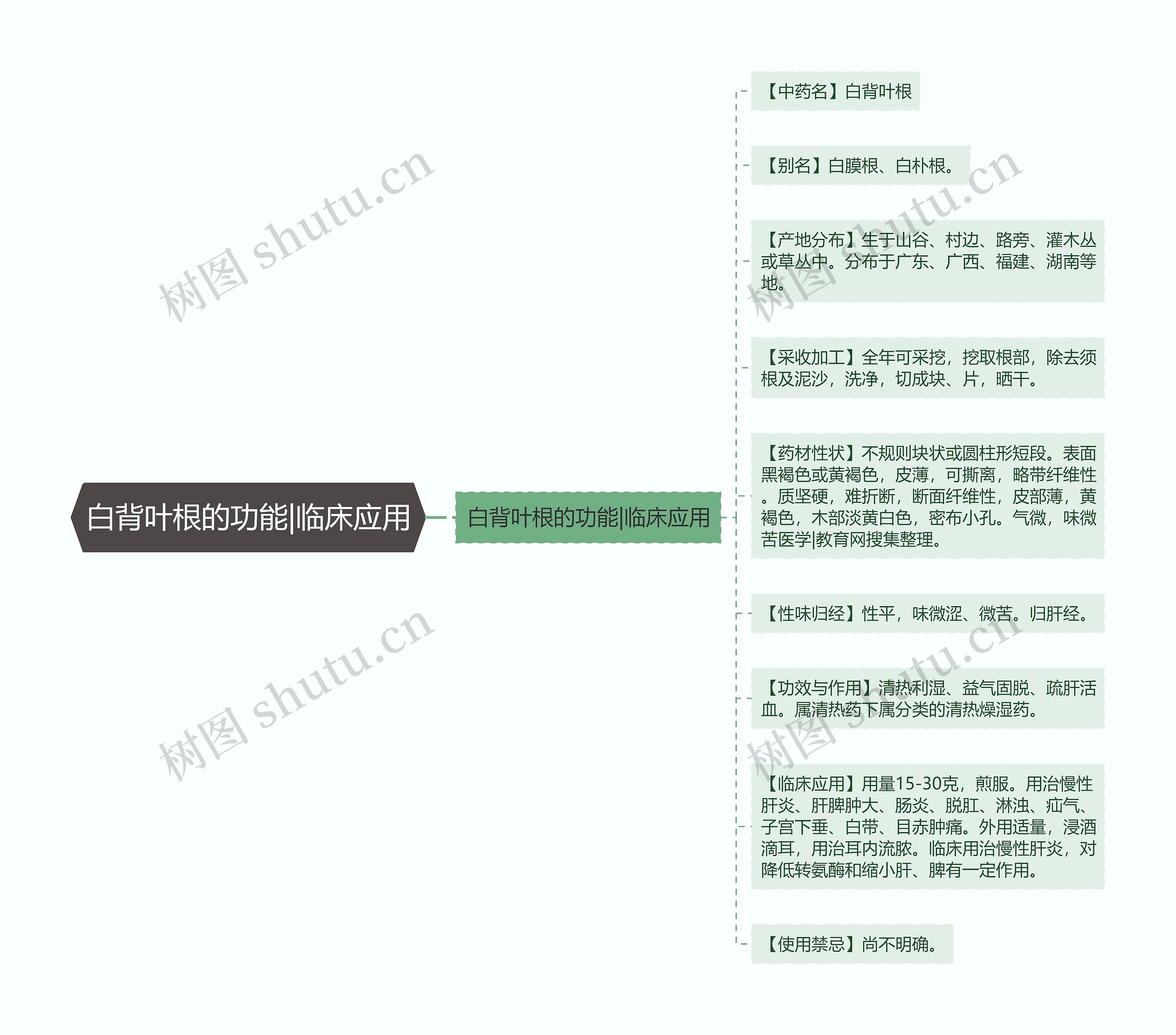 白背叶根的功能|临床应用思维导图