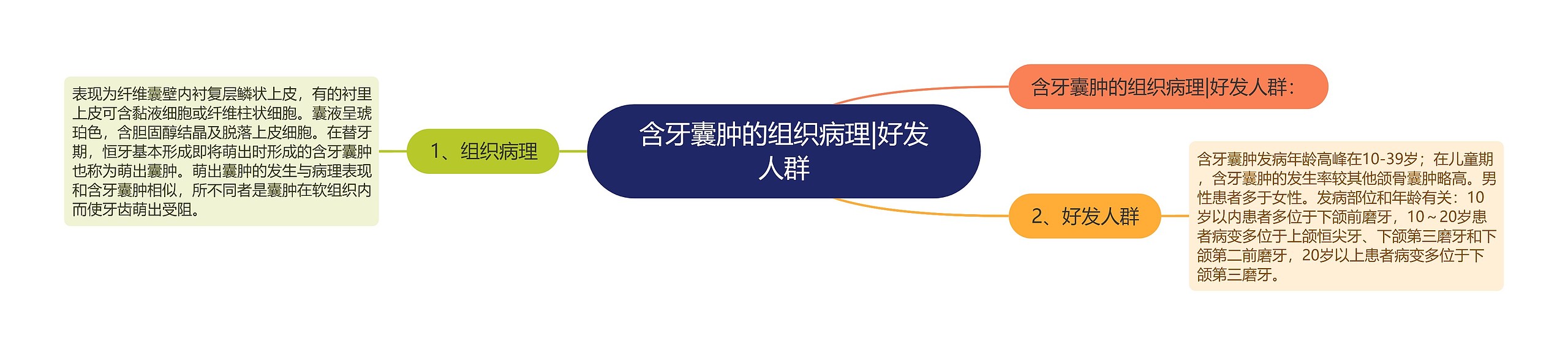 含牙囊肿的组织病理|好发人群 含牙囊肿的组织病理|好发人群