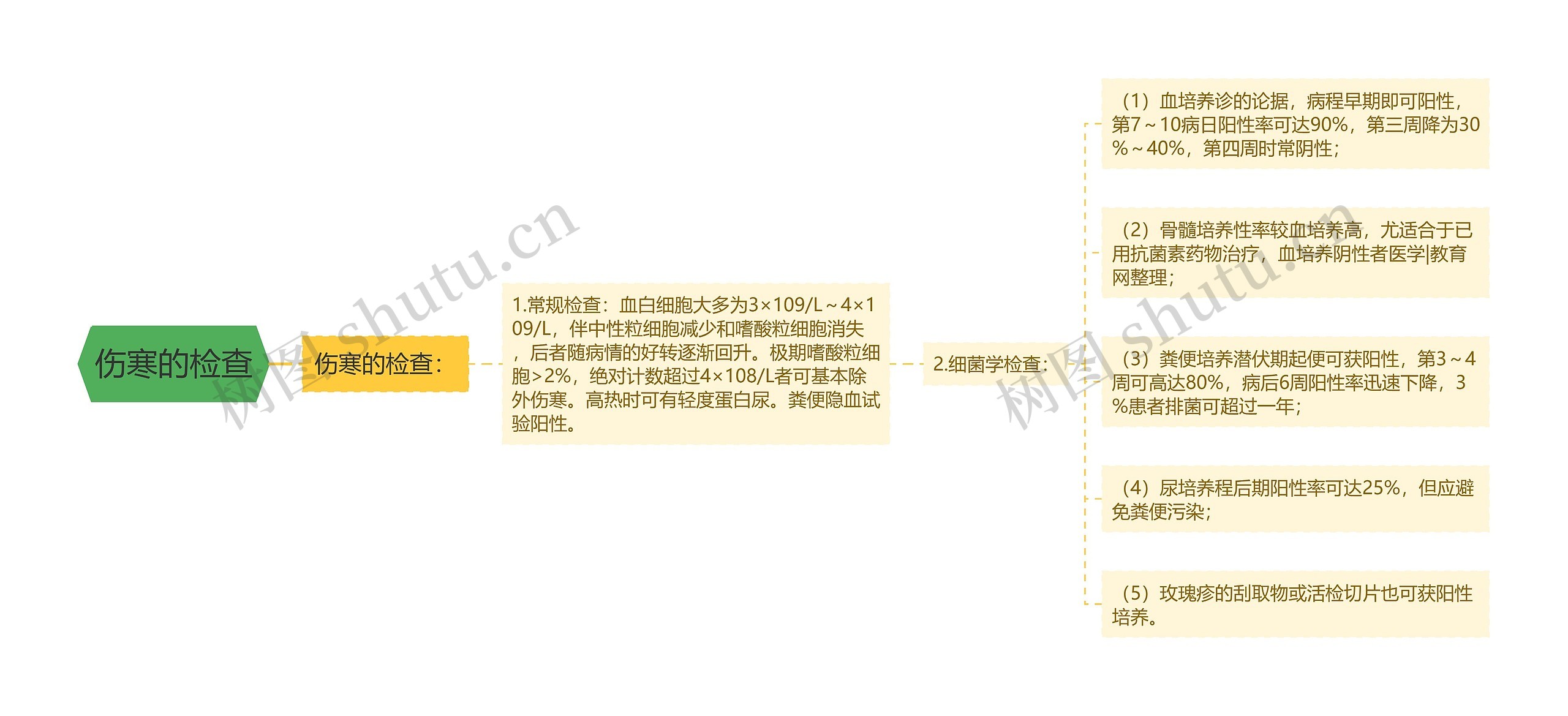 伤寒的检查思维导图