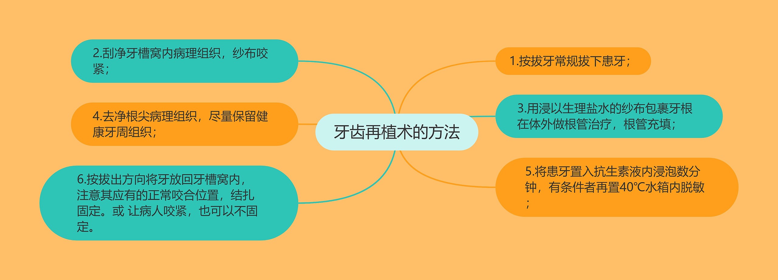 牙齿再植术的方法