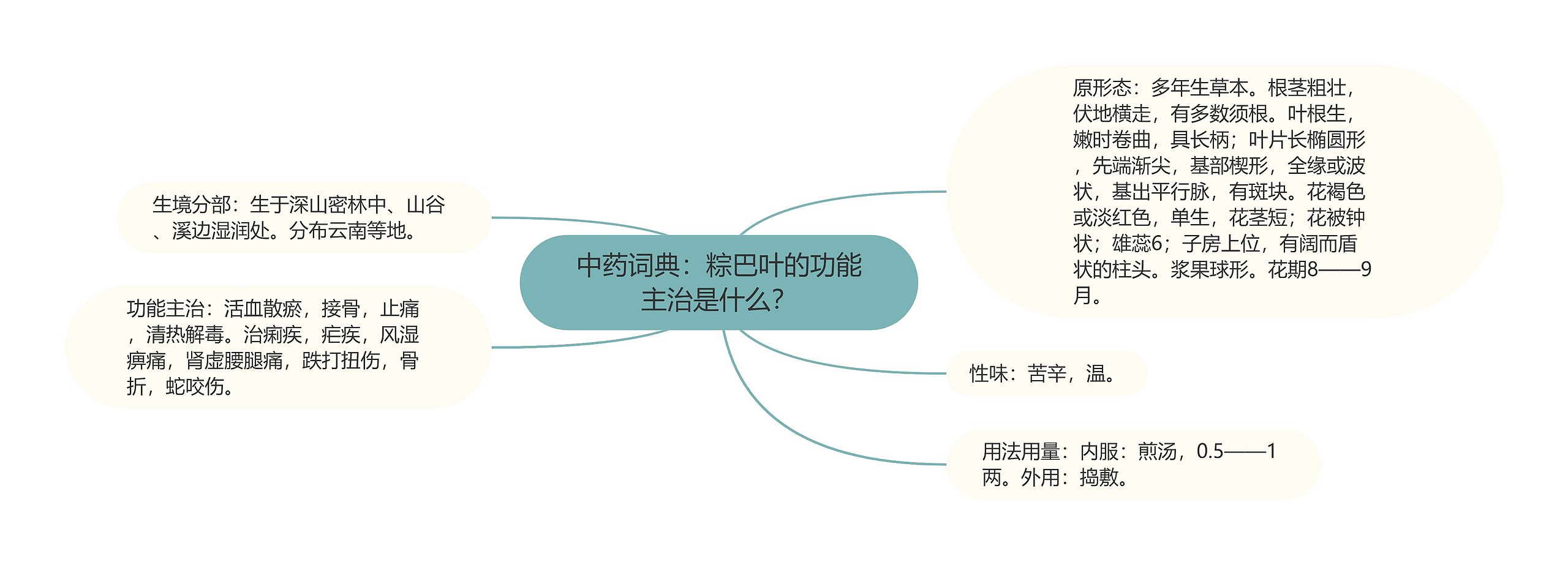 中药词典:粽巴叶的功能主治是什么? 中药词典:粽巴叶的功能主治是什么?