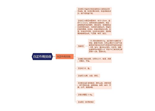 白芷作用|功效