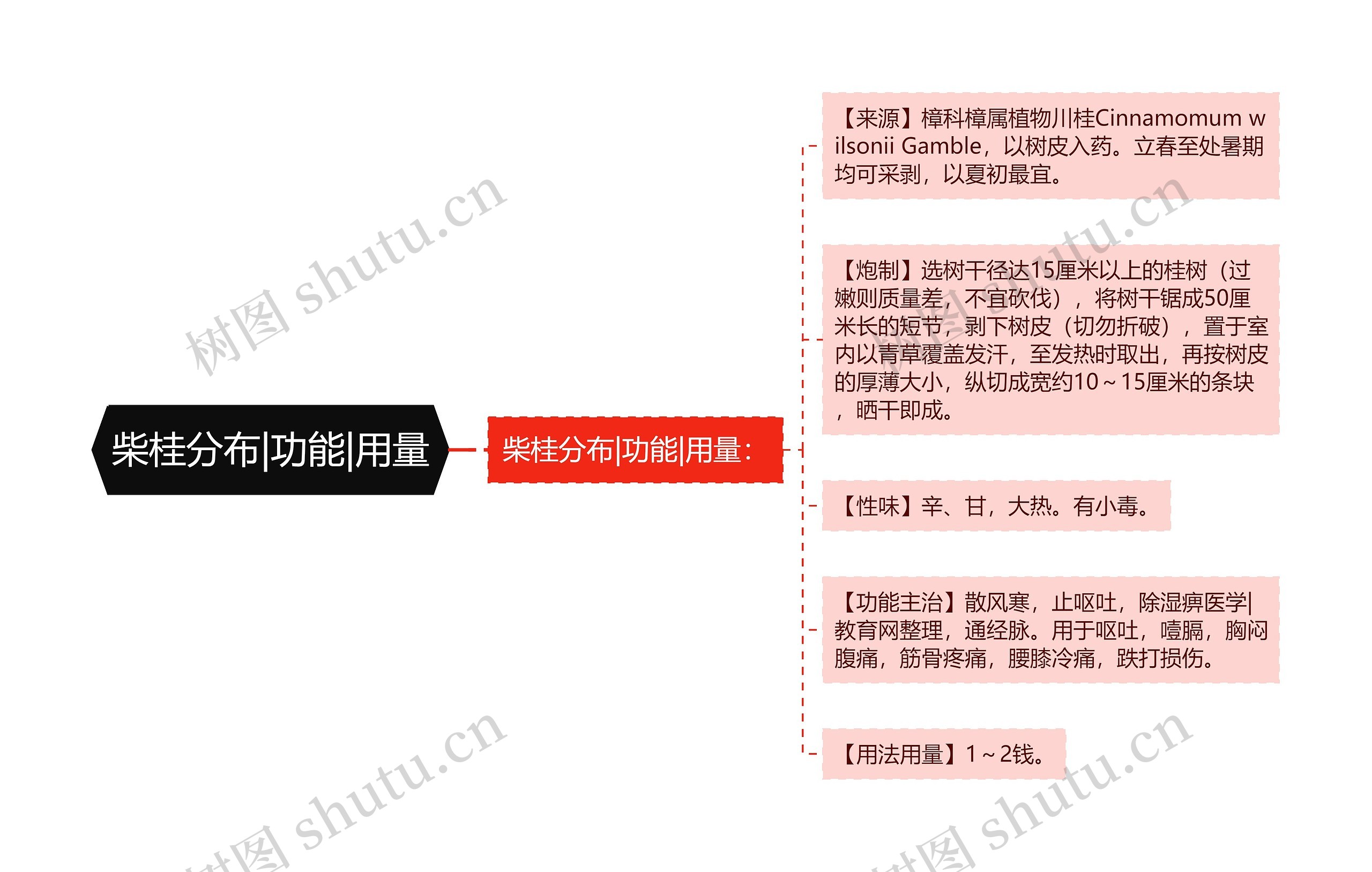 柴桂分布|功能|用量