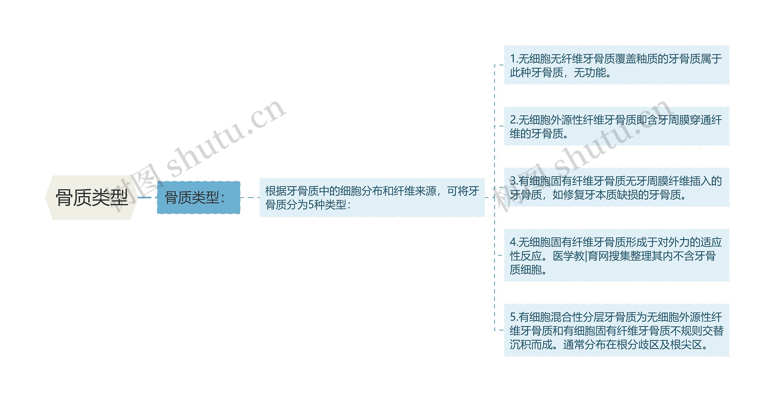 骨质类型思维导图