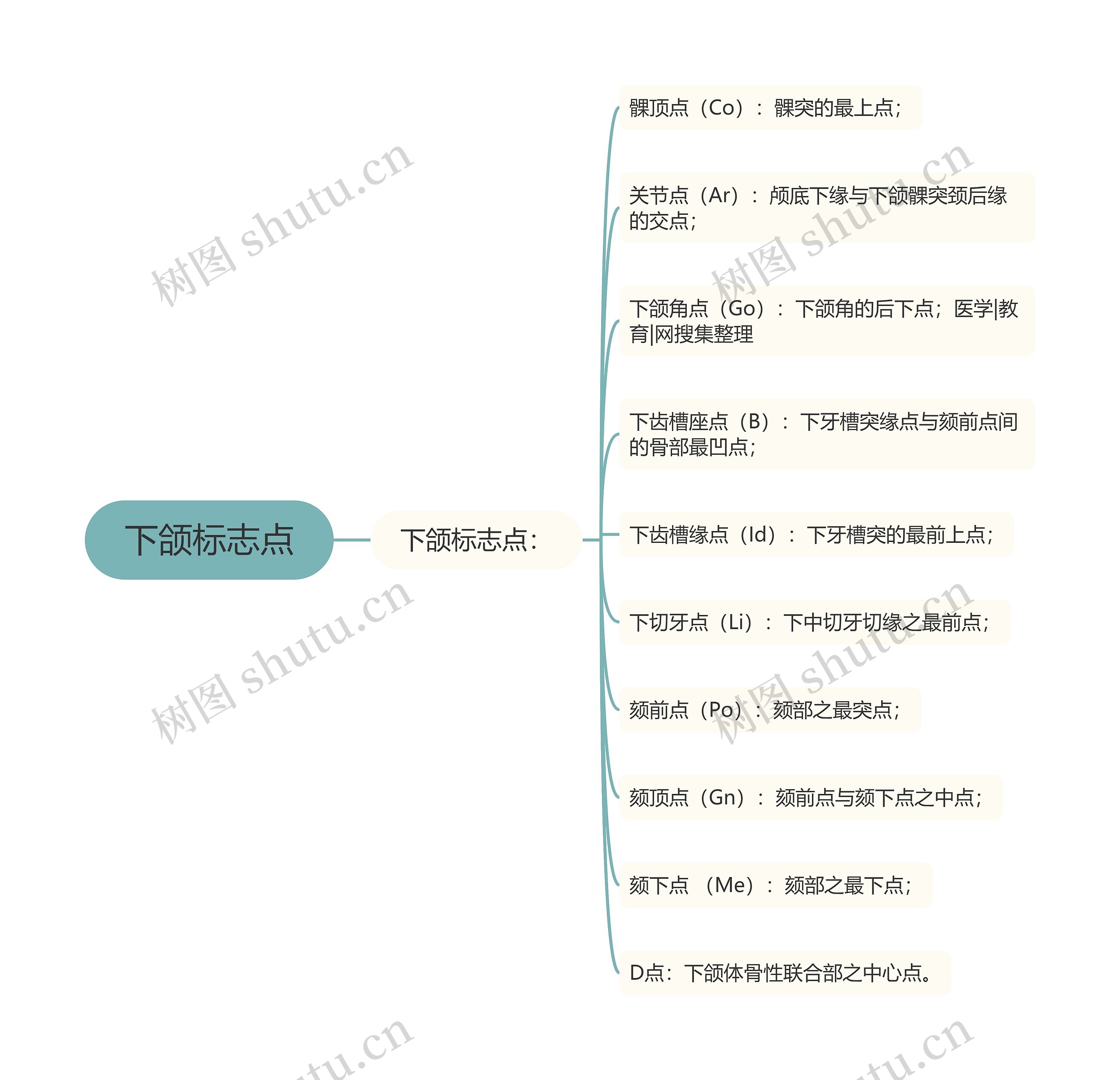 下颌标志点