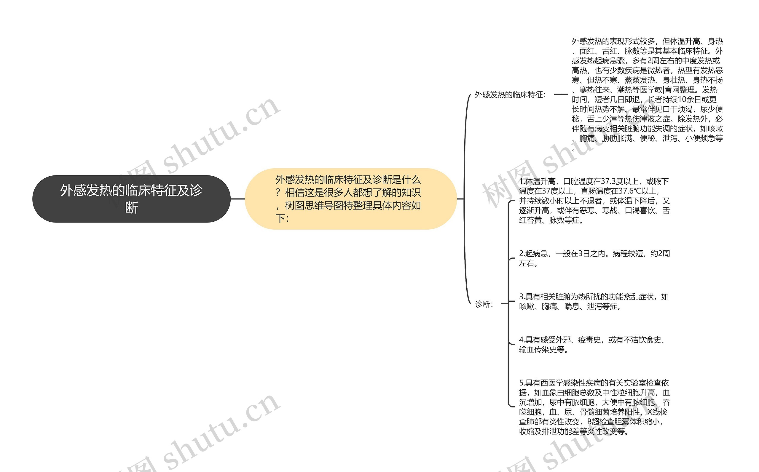 外感发热的临床特征及诊断