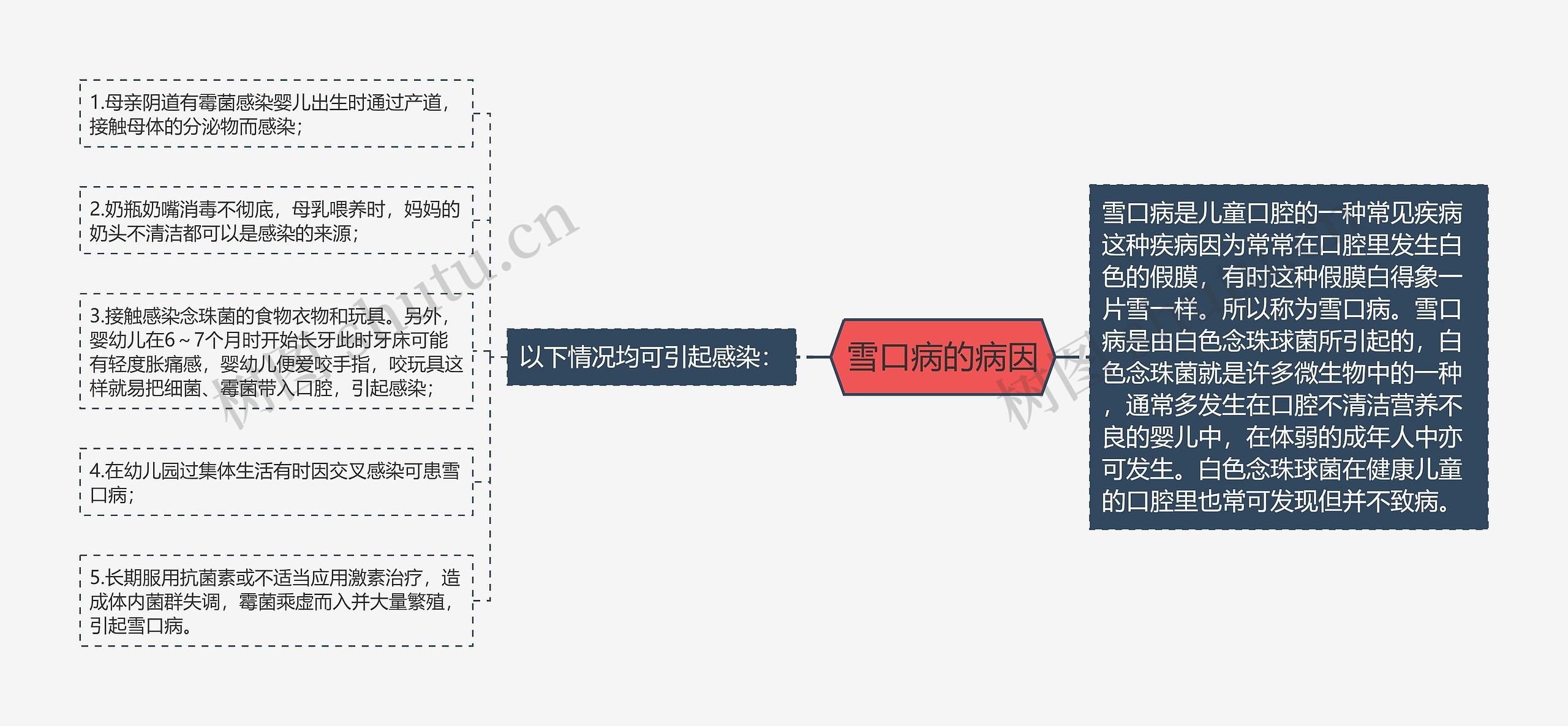 雪口病的病因思维导图