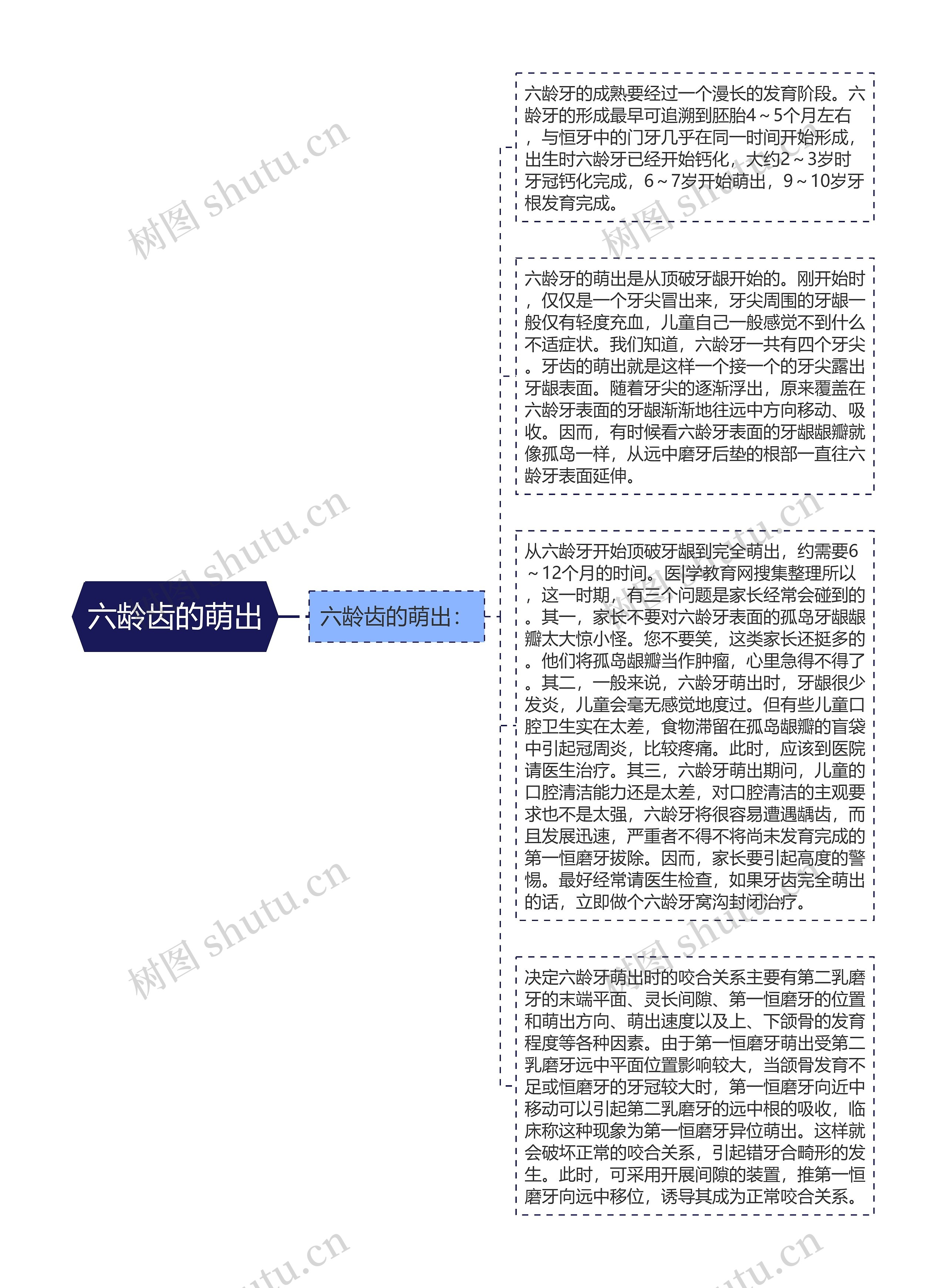 六龄齿的萌出思维导图