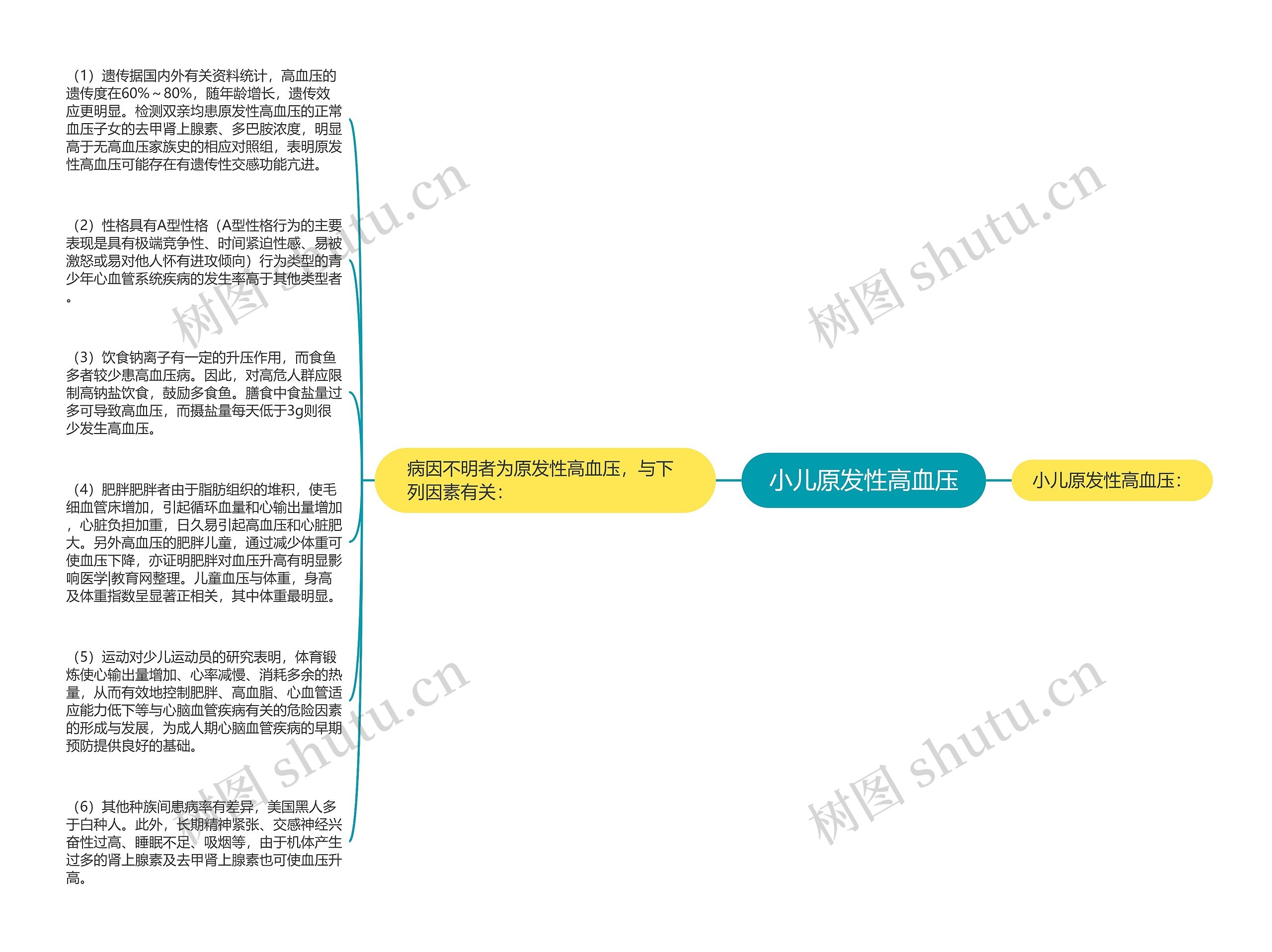 小儿原发性高血压