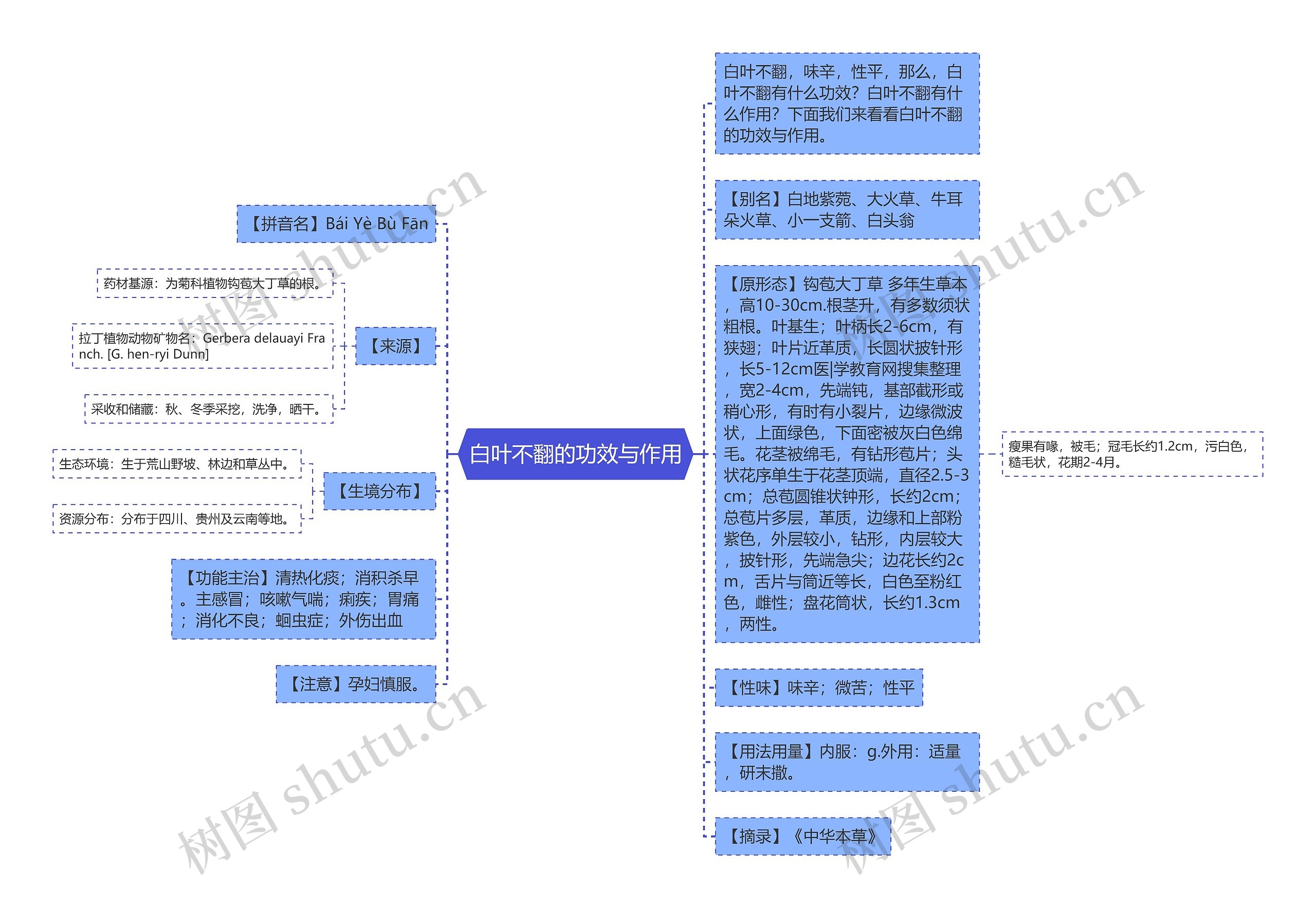 白叶不翻的功效与作用思维导图