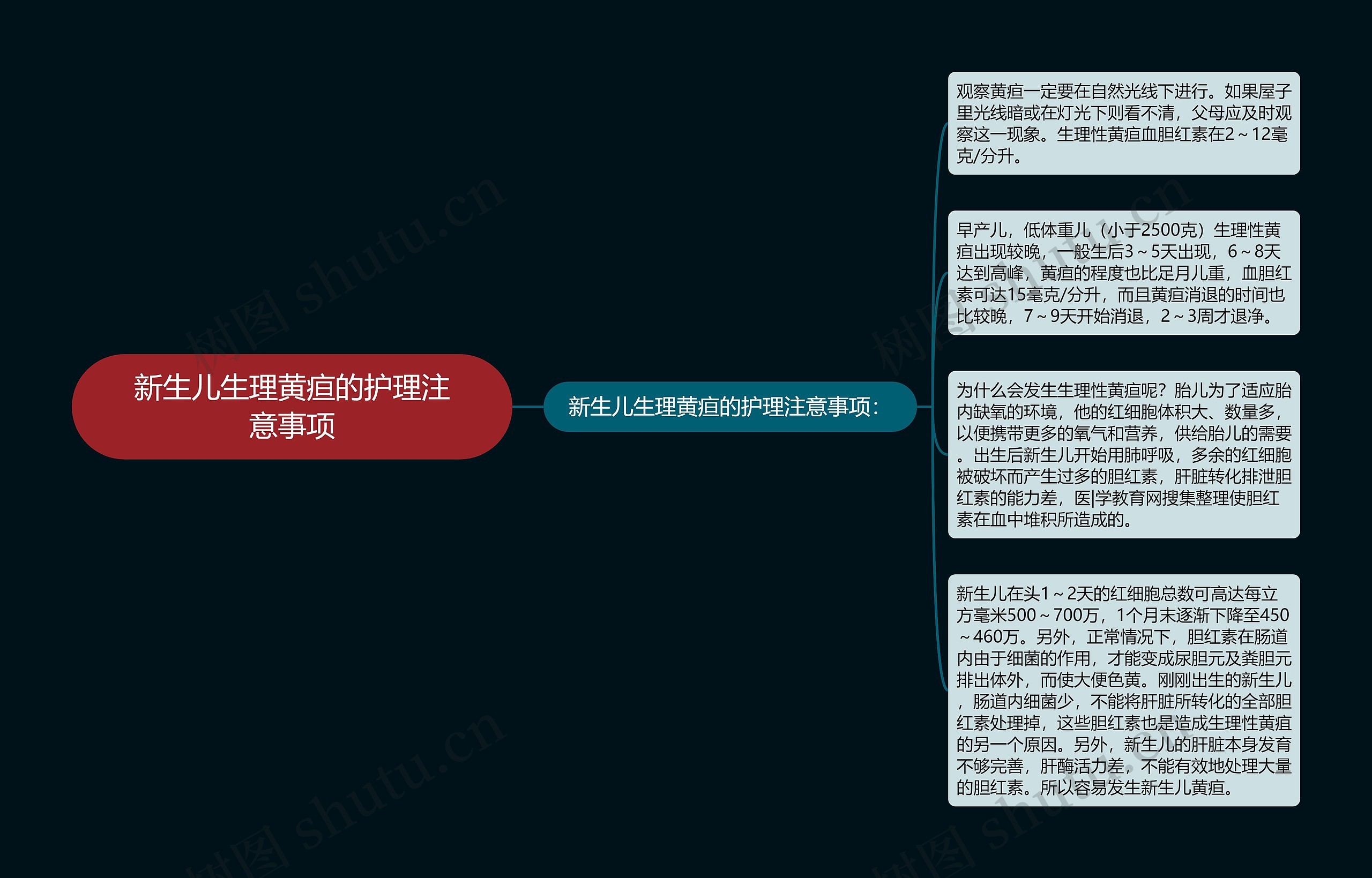 新生儿生理黄疸的护理注意事项