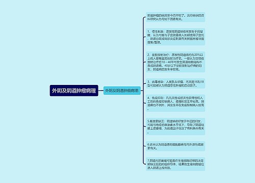 外阴及阴道肿瘤病理