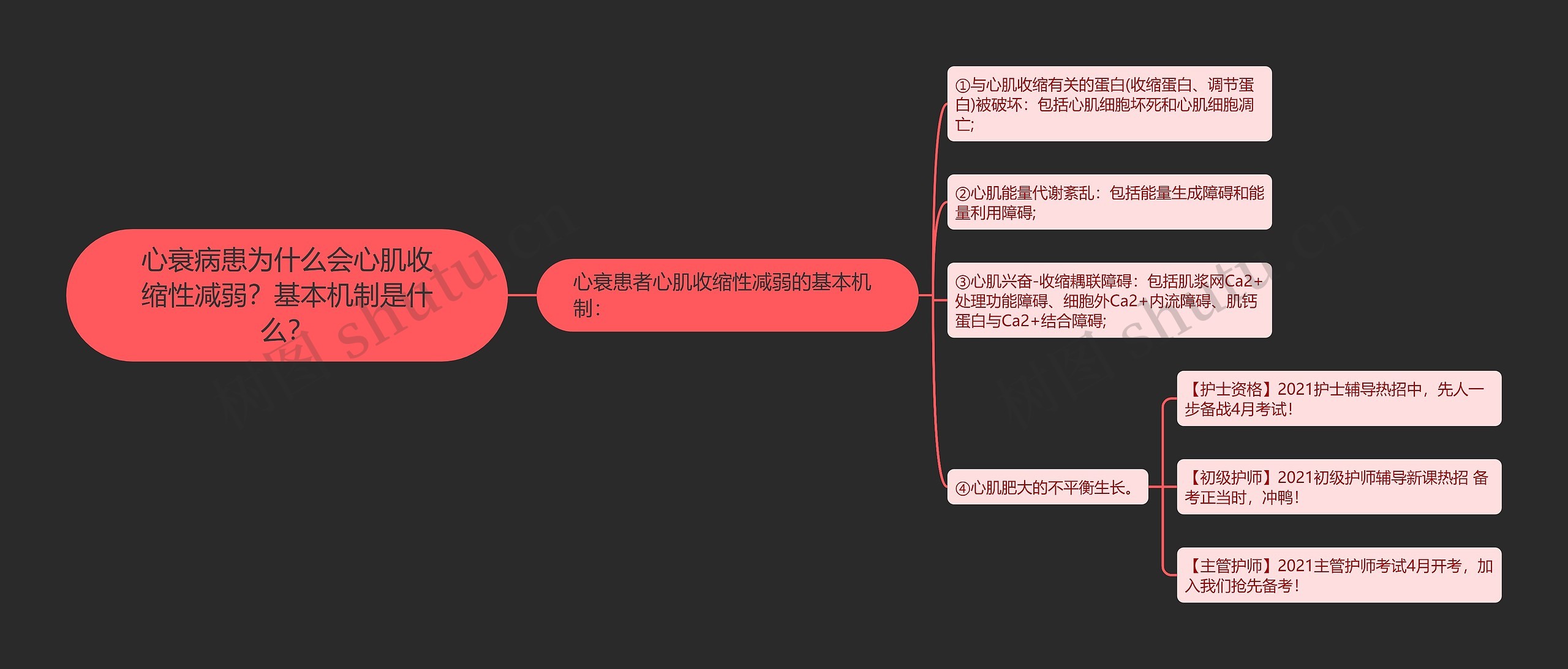 心衰病患为什么会心肌收缩性减弱？基本机制是什么？思维导图