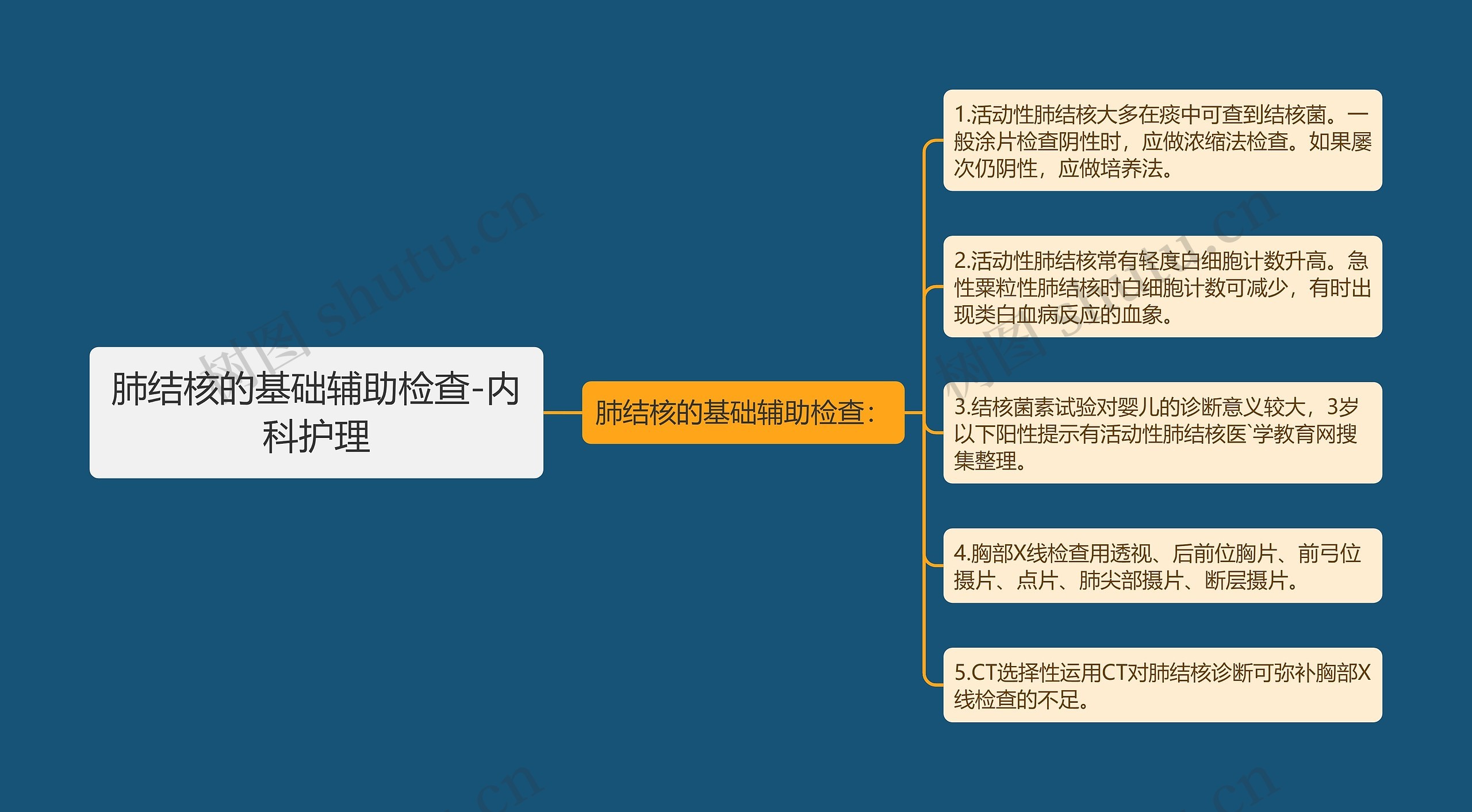 肺结核的基础辅助检查-内科护理 肺结核的基础辅助检查-内科护理