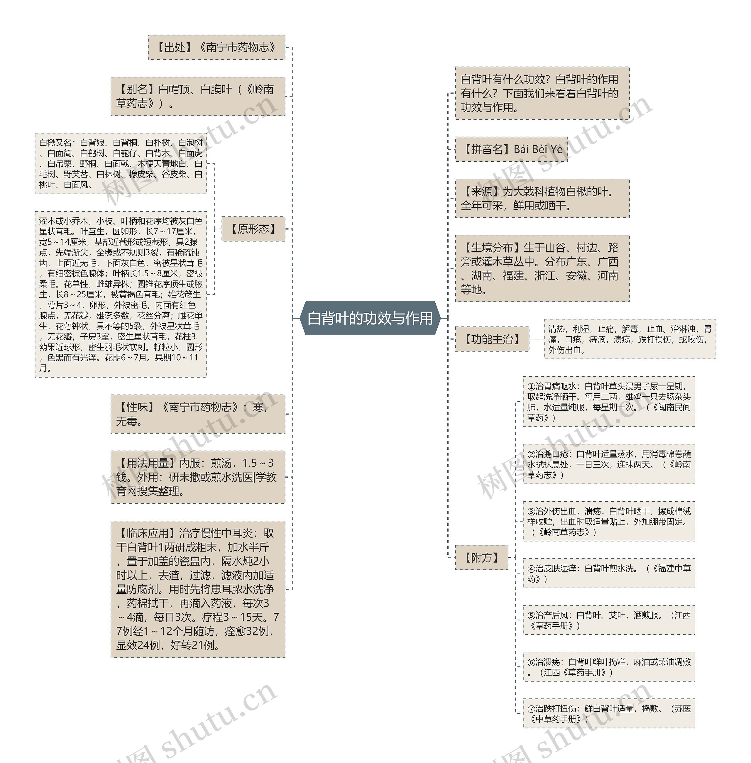 白背叶的功效与作用思维导图