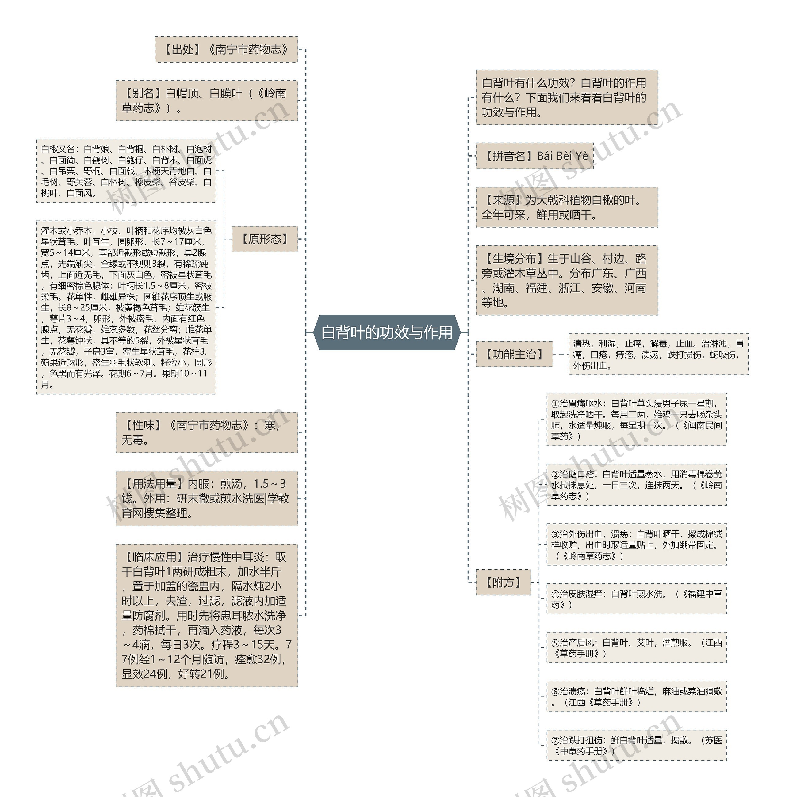 白背叶的功效与作用 白背叶的功效与作用