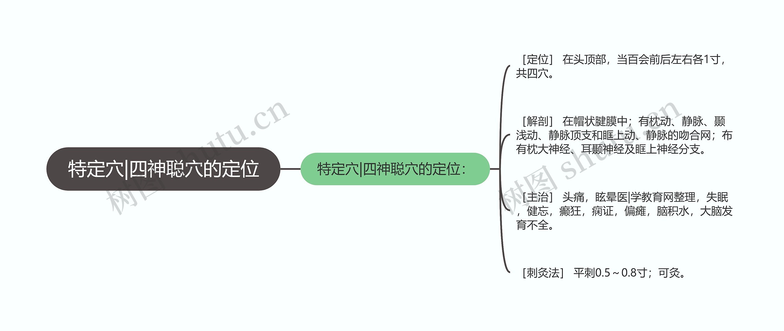 特定穴|四神聪穴的定位