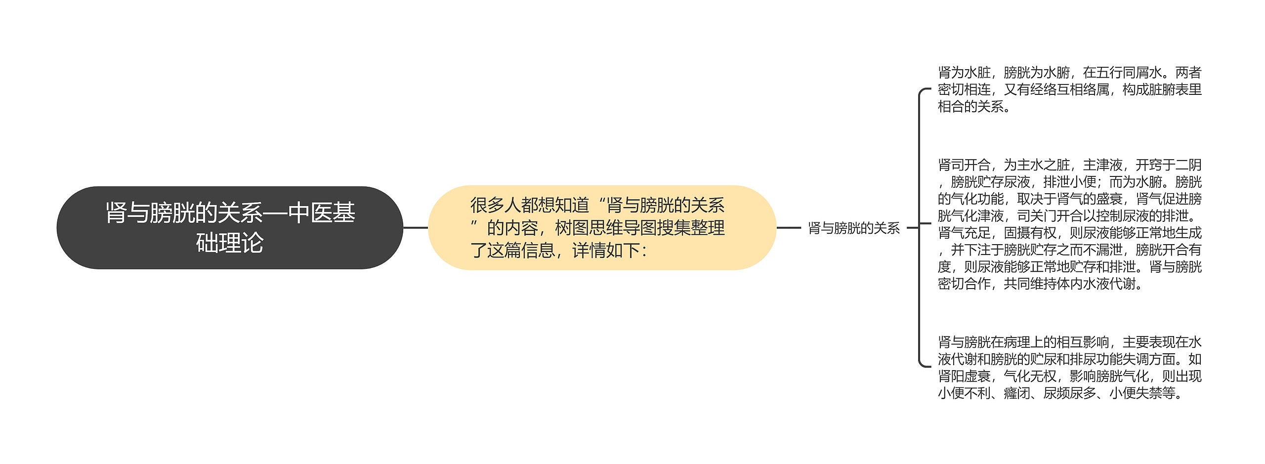 肾与膀胱的关系—中医基础理论思维导图