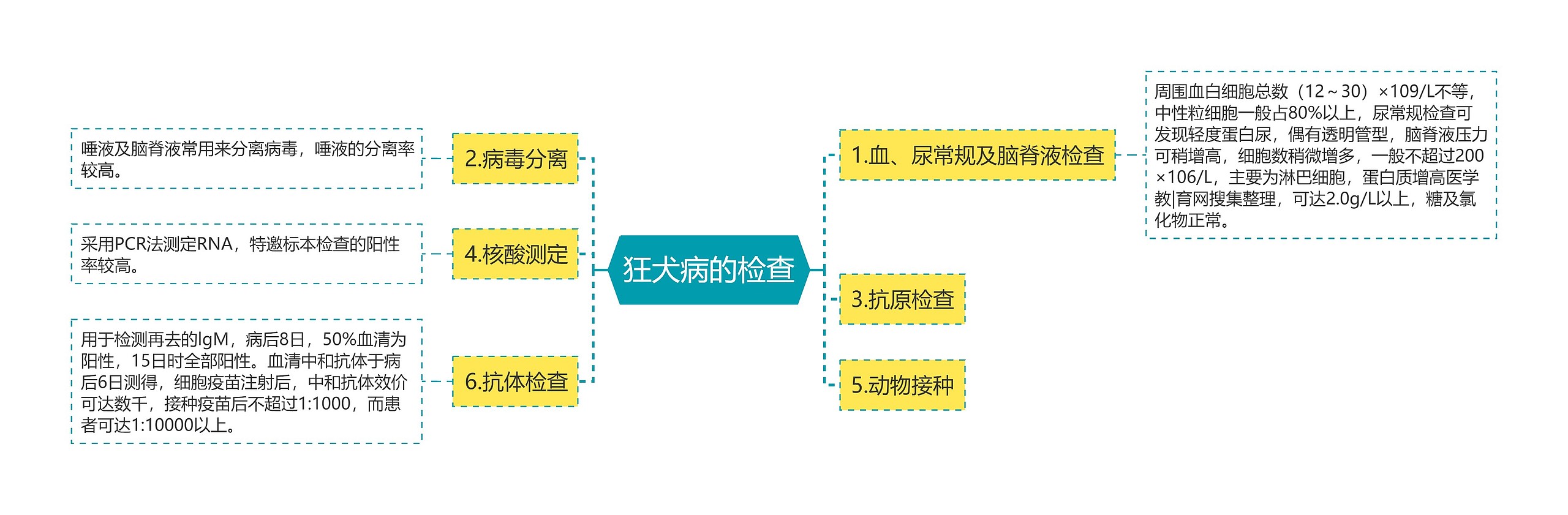 狂犬病的检查
