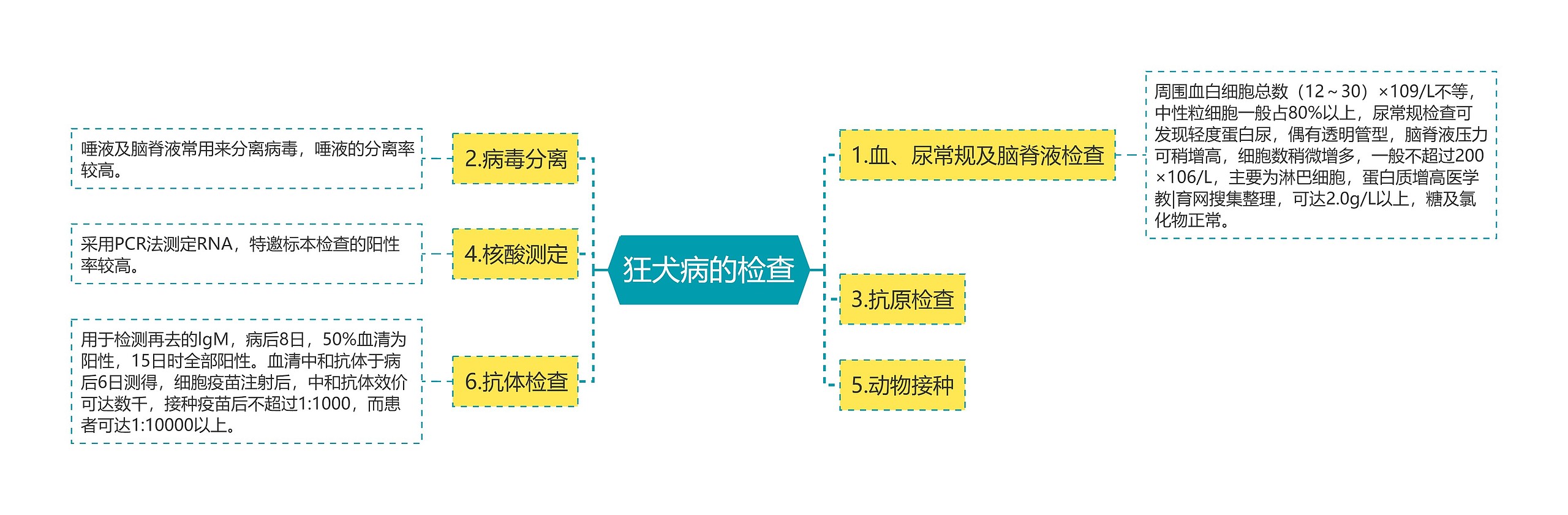 狂犬病的检查思维导图