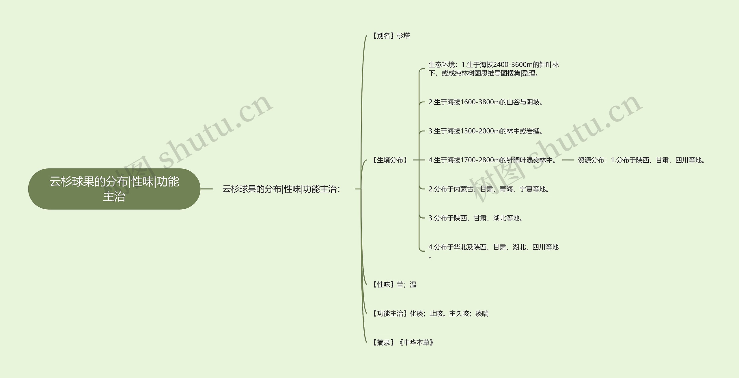 云杉球果的分布|性味|功能主治