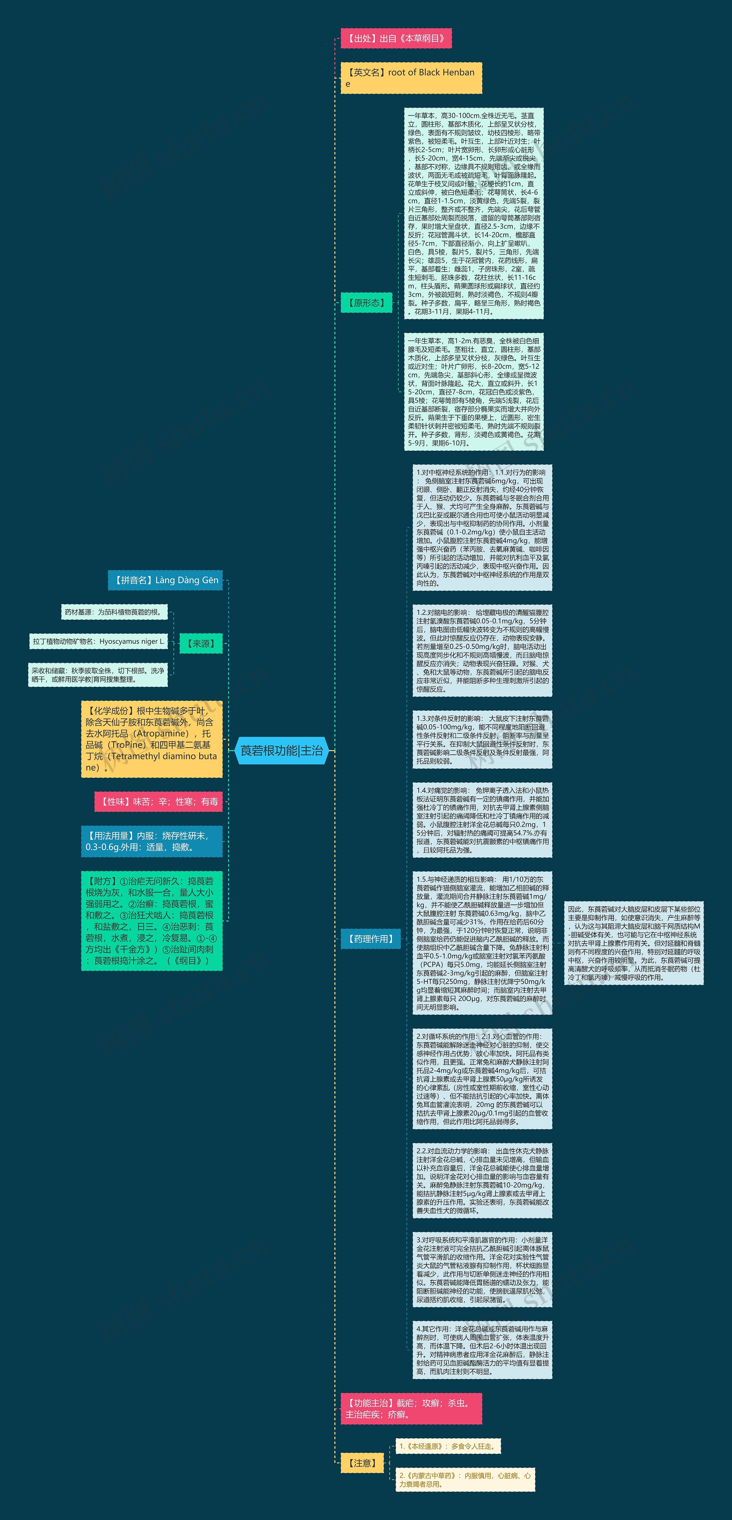 莨菪根功能|主治思维导图